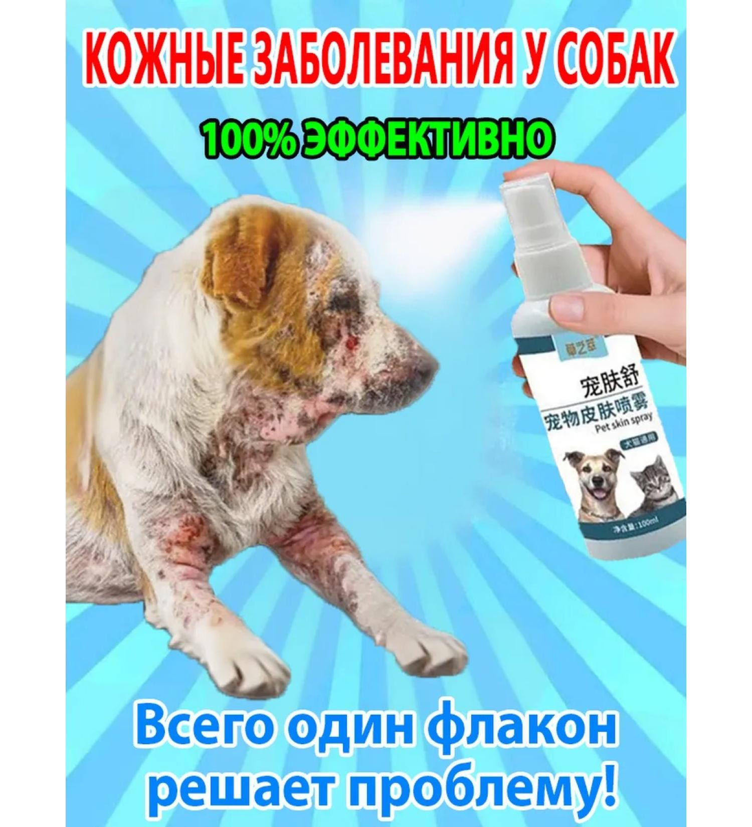 From dermatitis for dogs and cats 100 ml - Buy Online on GoSupps.com