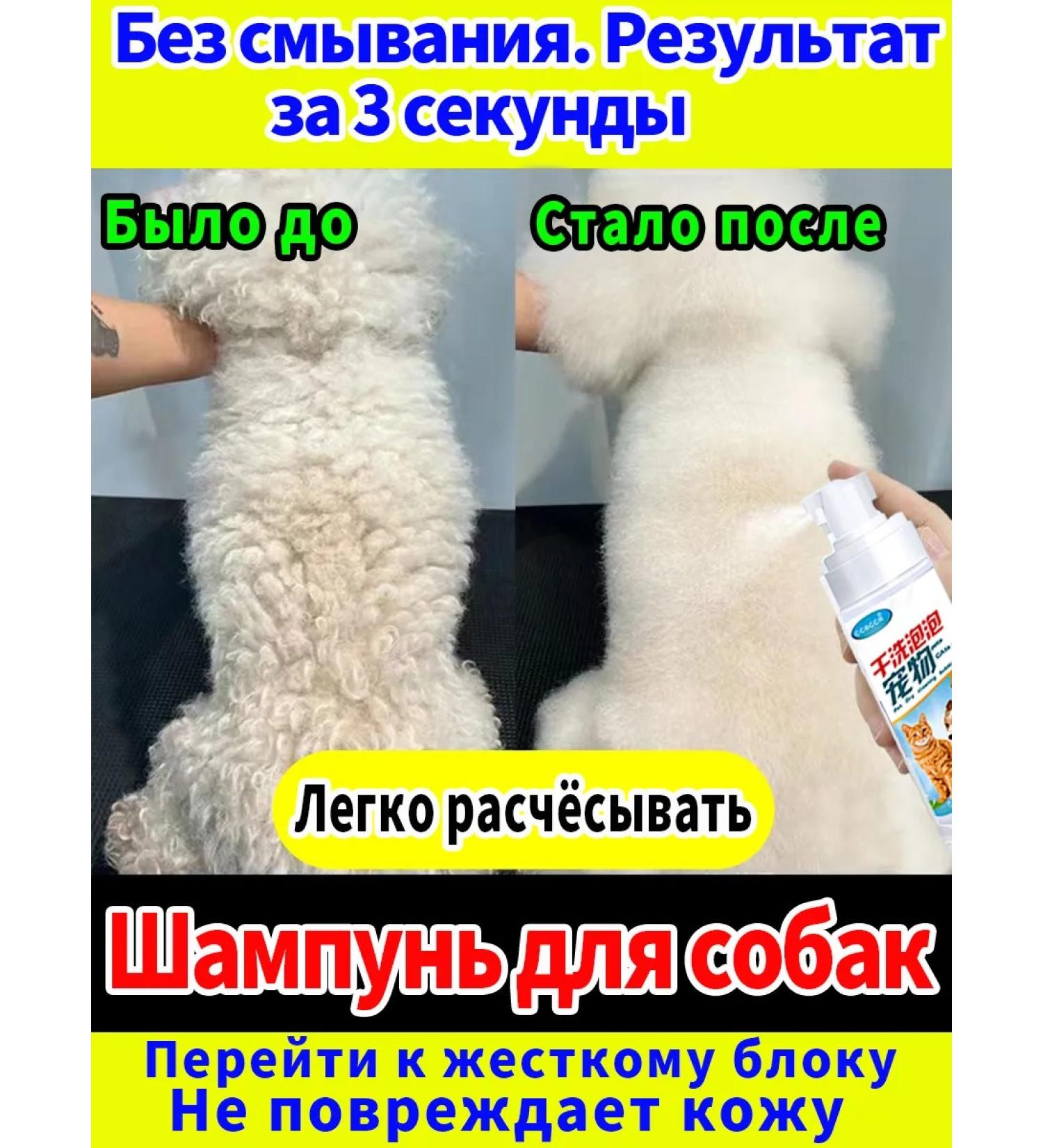 Dry shampoo for cats without rinsing 200 ml - Buy Online on GoSupps.com