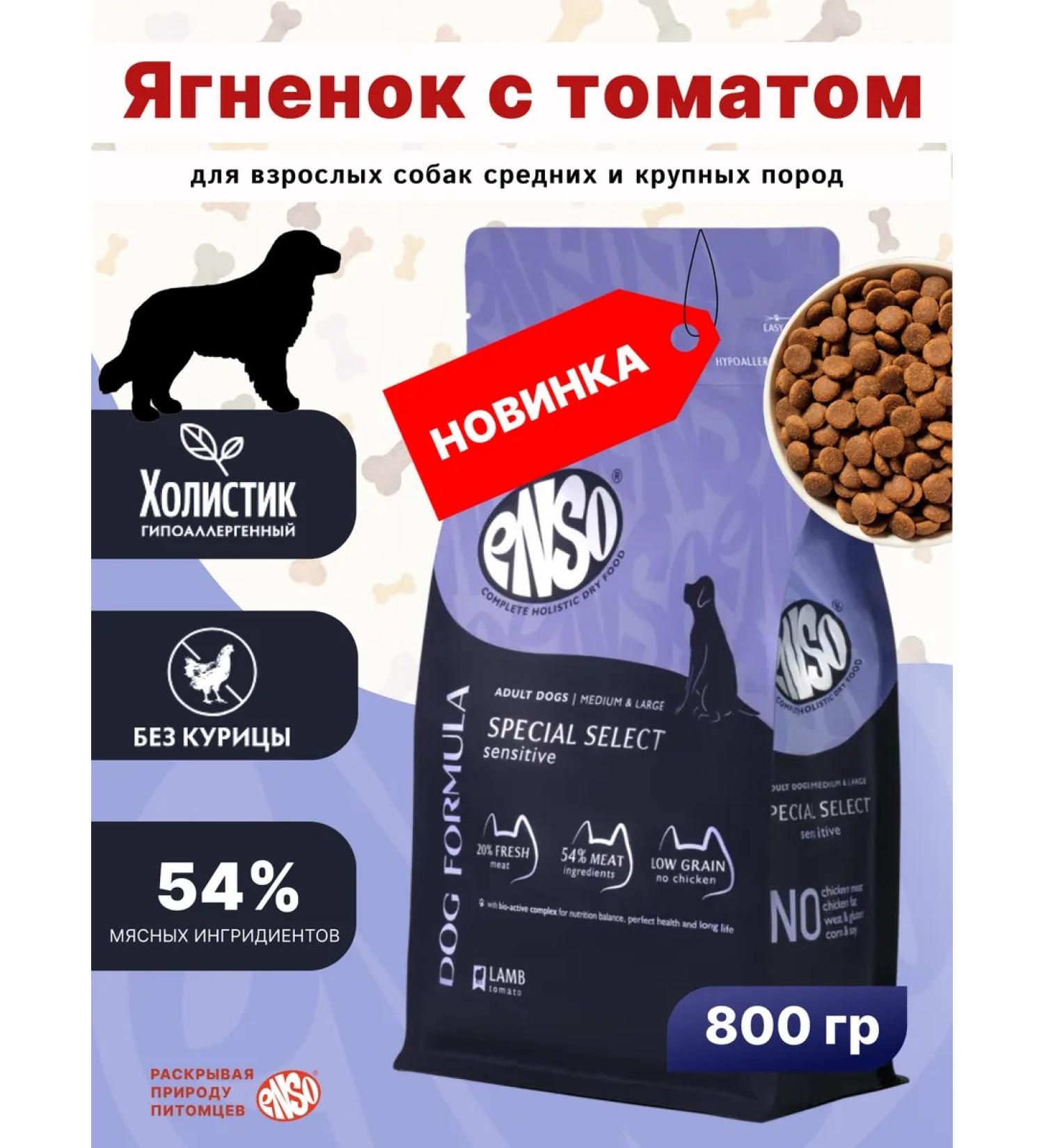 Enso Dry food for adult dogs of medium and large breeds with lamb and tomato 0.8 kg - Buy Online on GoSupps.com