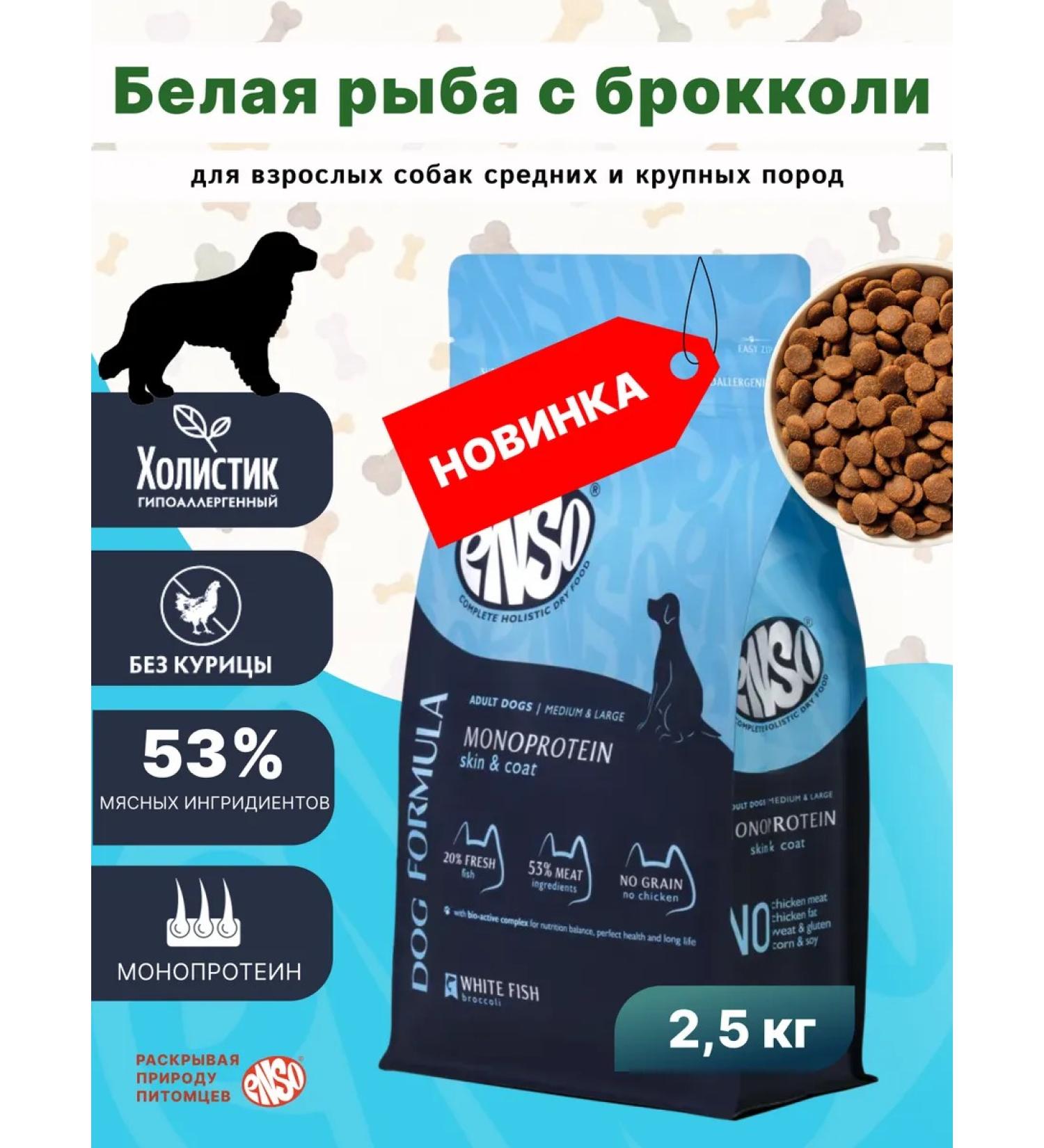 Enso Dry food for adult dogs of medium and large breeds with white fish and broccoli 2.5 kg - Buy Online on GoSupps.com