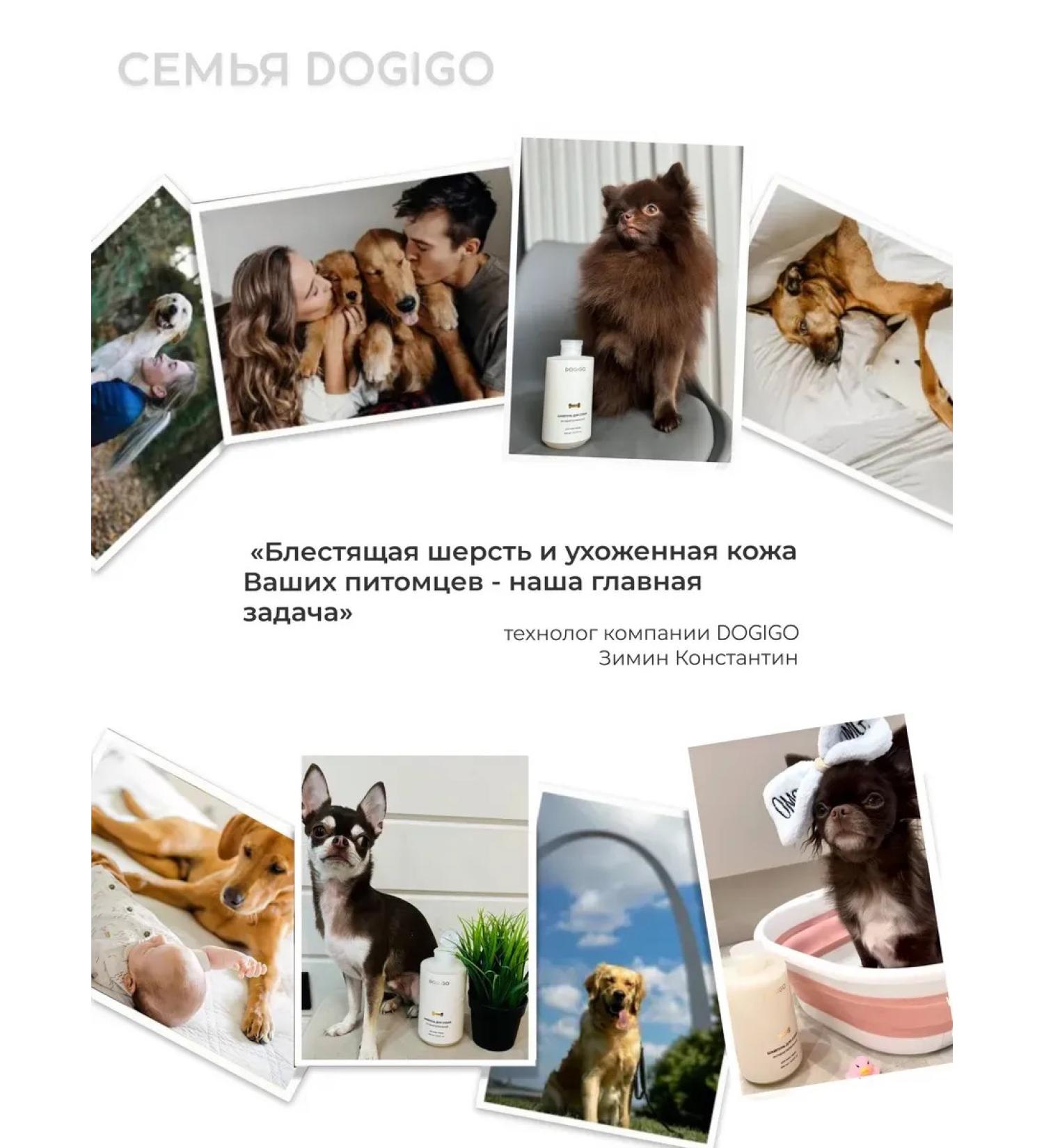 animals boutique Jorkshire terrier - Buy Online on GoSupps.com