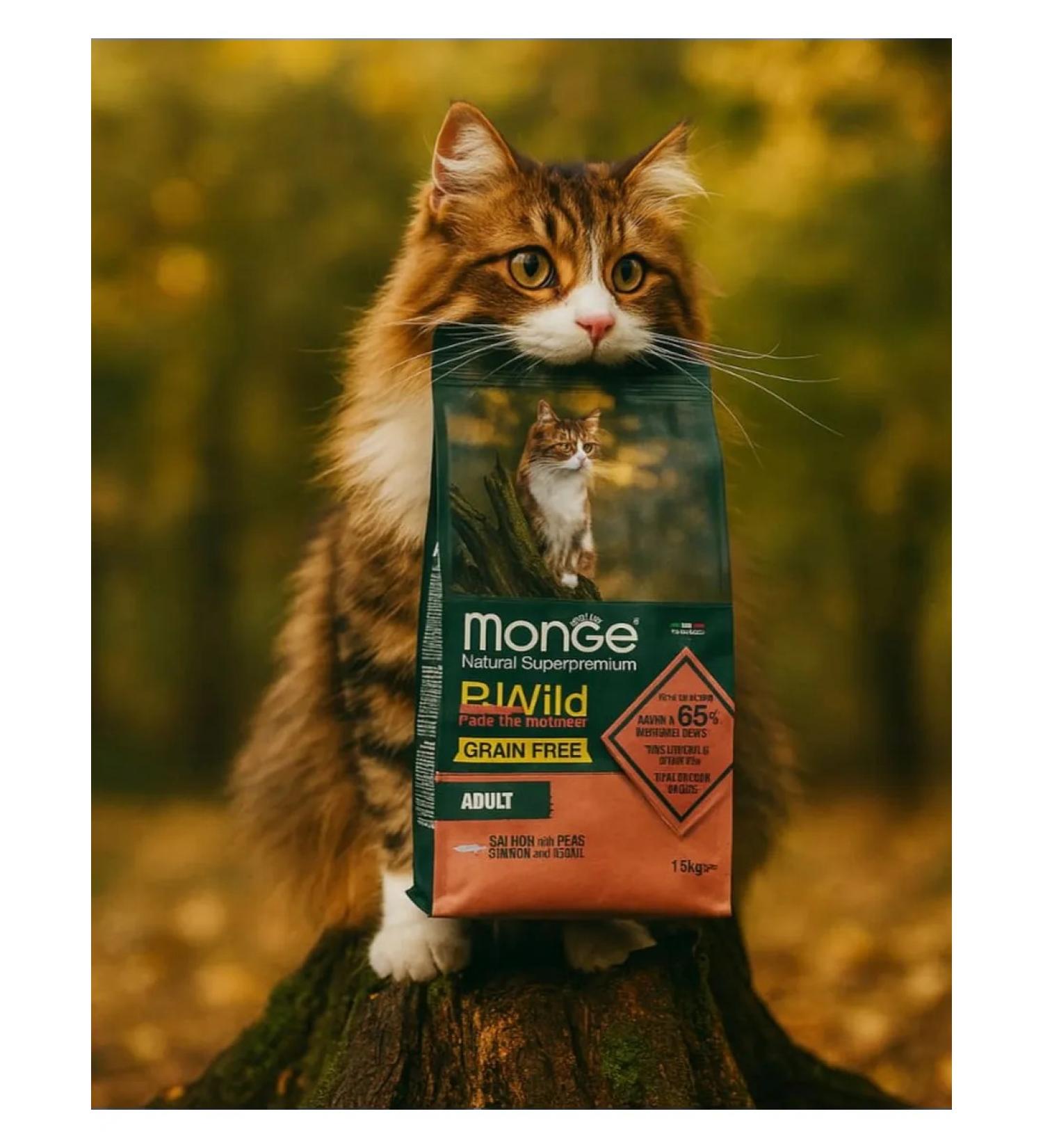 MONGE Bwilds Bezern Form with salmon 1.5 kg - Buy Online on GoSupps.com