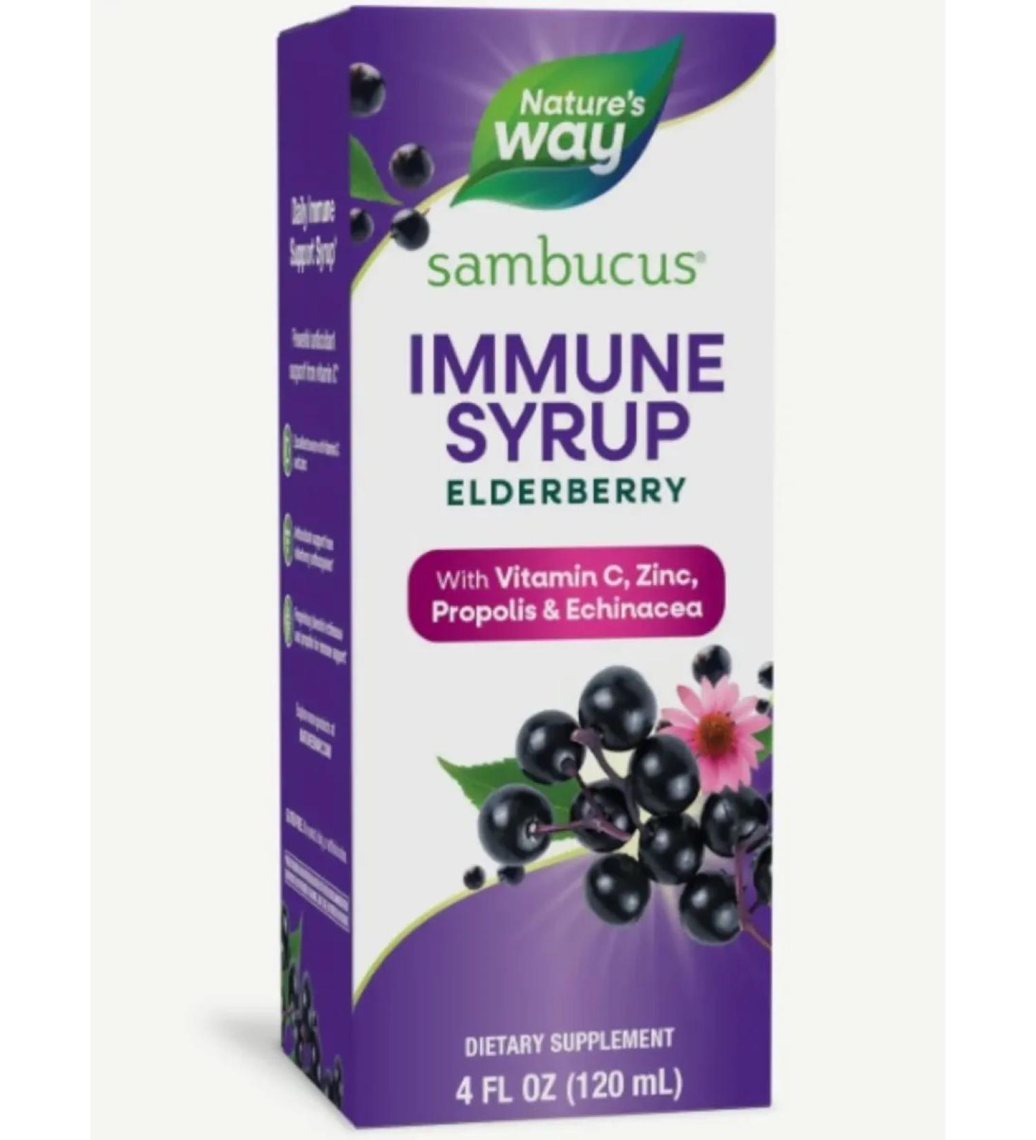 Nature's Way Alive! Nature's Way Sambucus Immune Buzin Echinacea 120 ml - Buy Online on GoSupps.com