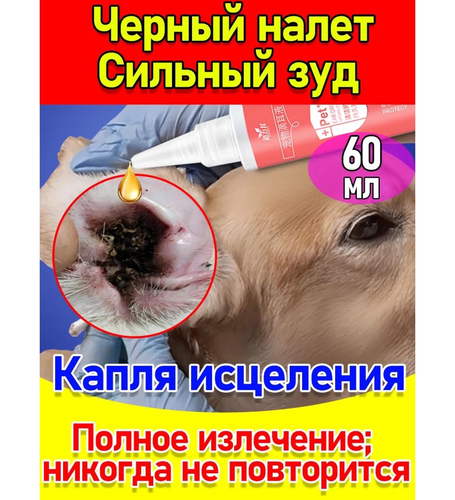 Ear drops for dogs and cats from ticks 60ml - Buy Online on GoSupps.com