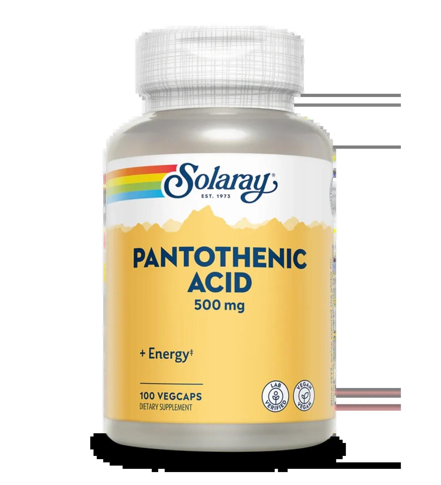 Solaray Pantothenic Acid 500MG 100 capsules