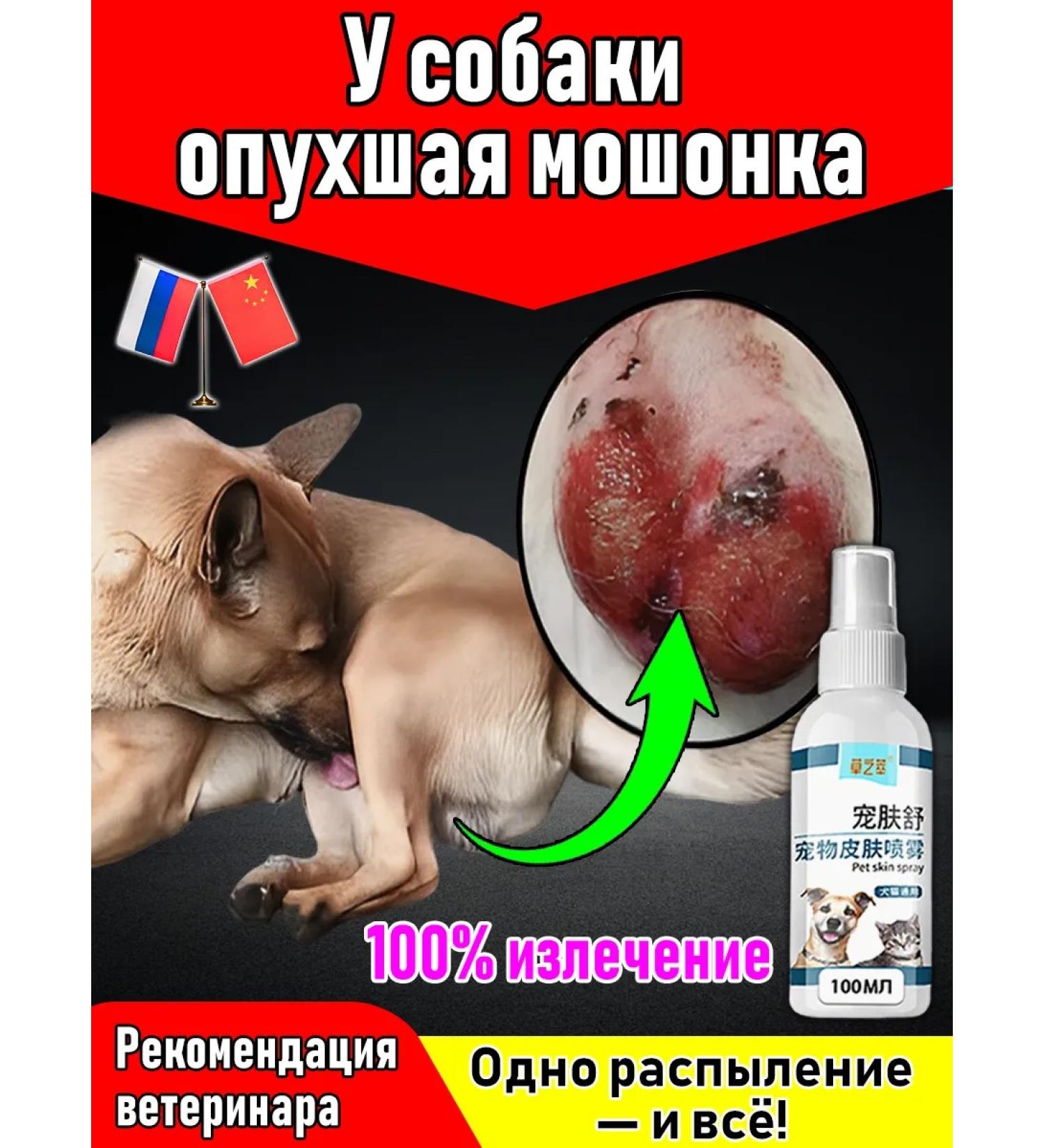 Spray for the treatment of skin diseases in cats and dogs - Buy Online on GoSupps.com