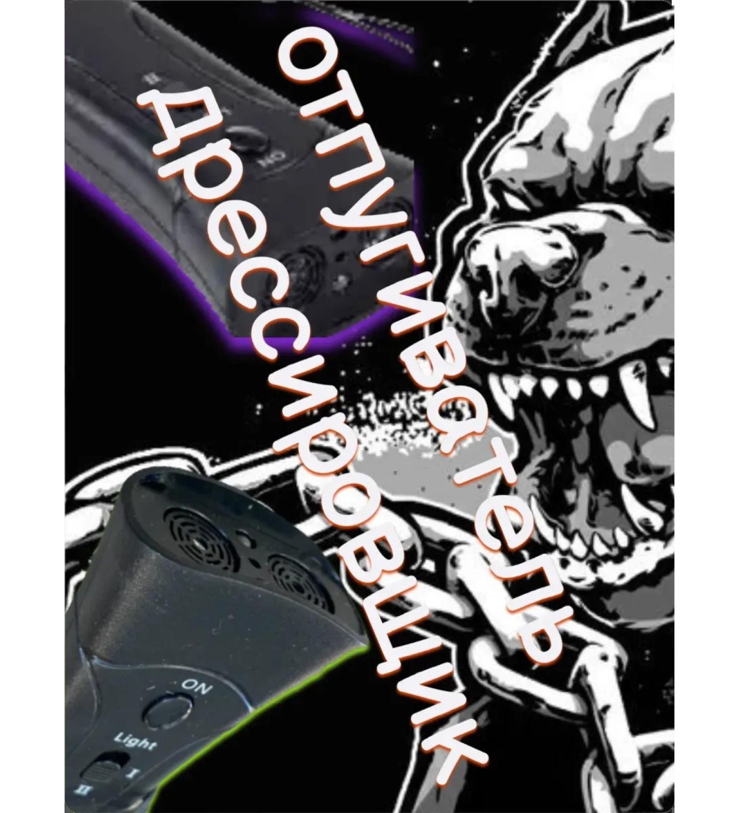 Boarder for your safety trainer - Buy Online on GoSupps.com