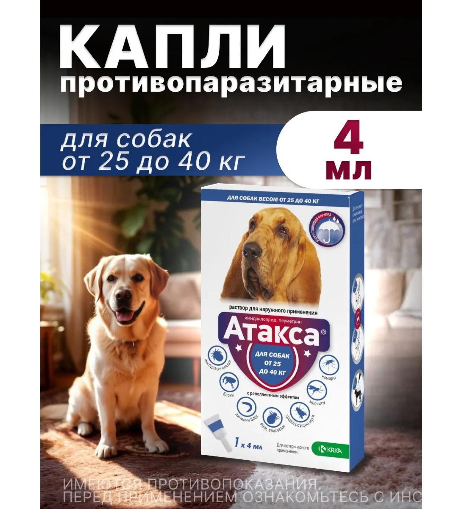 KRKA Attack drops for co -bacon 25 to 40 kg - Buy Online on GoSupps.com