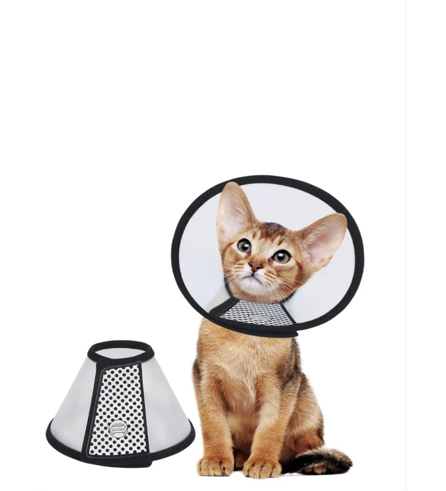 Zoonick Veterinary protective collar for cats and dogs - Buy Online on GoSupps.com