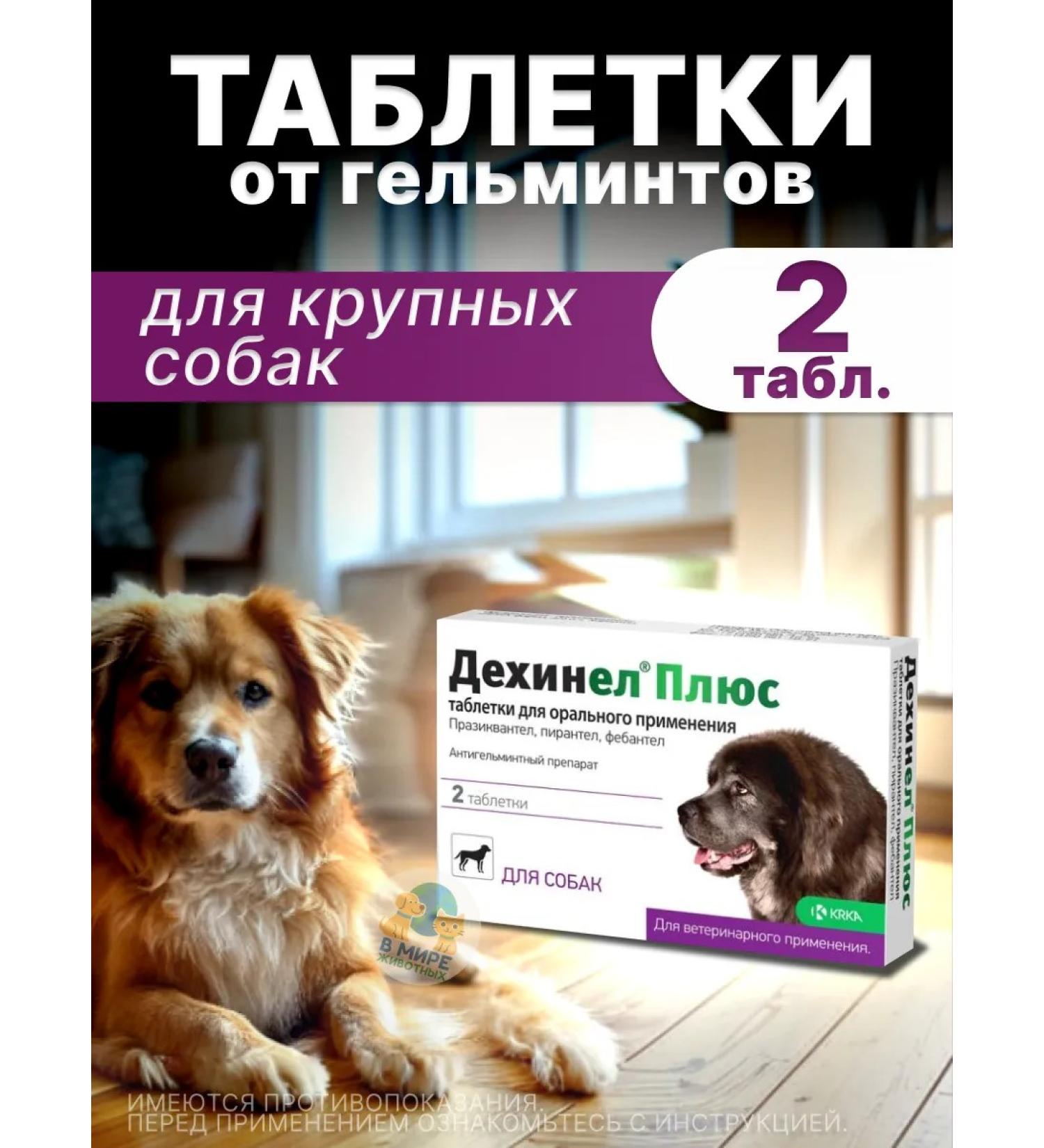 KRKA Dehinel plus tablets for large dogs 2 tab - Buy Online on GoSupps.com
