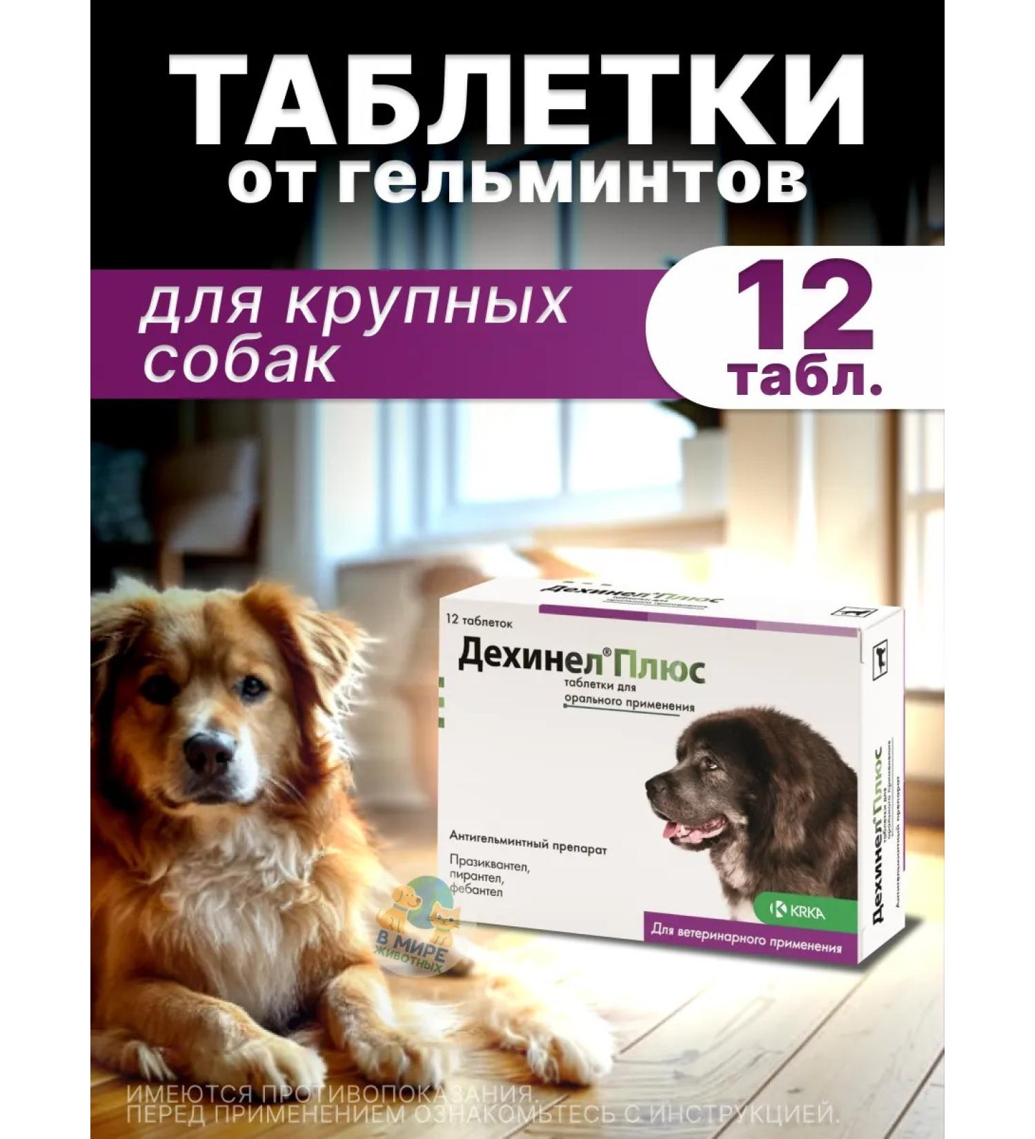 KRKA Dechinel plus tablets for large dogs 12 tab - Buy Online on GoSupps.com