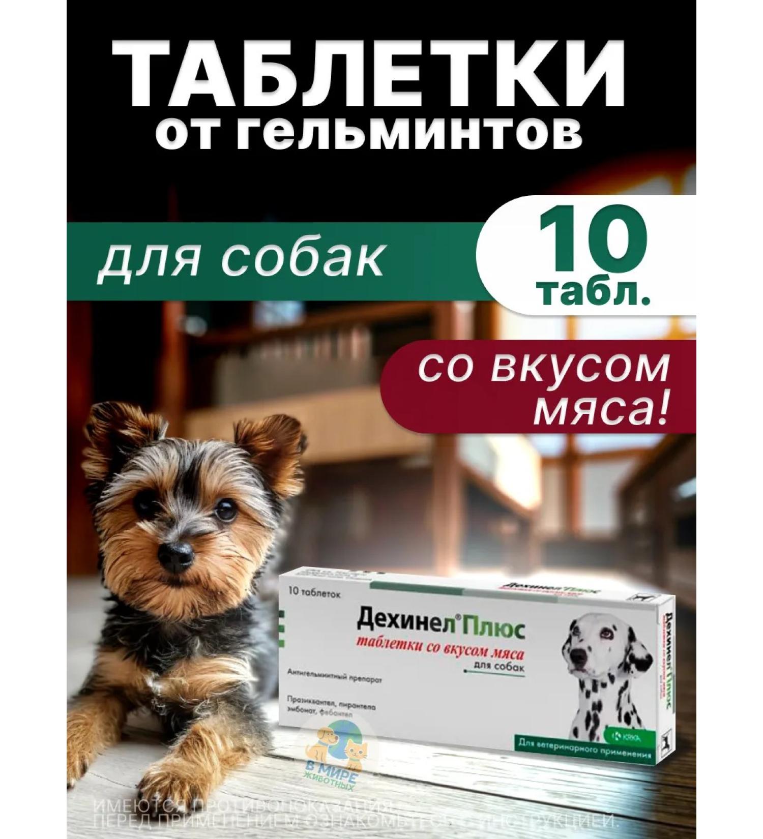 KRKA Dechinel plus tablets for medium dogs 10 tab - Buy Online on GoSupps.com
