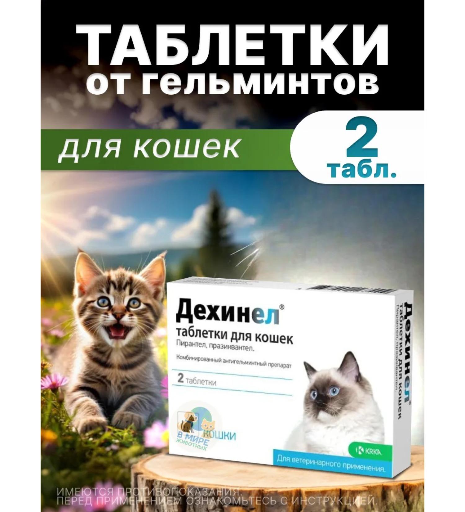 KRKA Dechinel cat tablets 2 tab - Buy Online on GoSupps.com