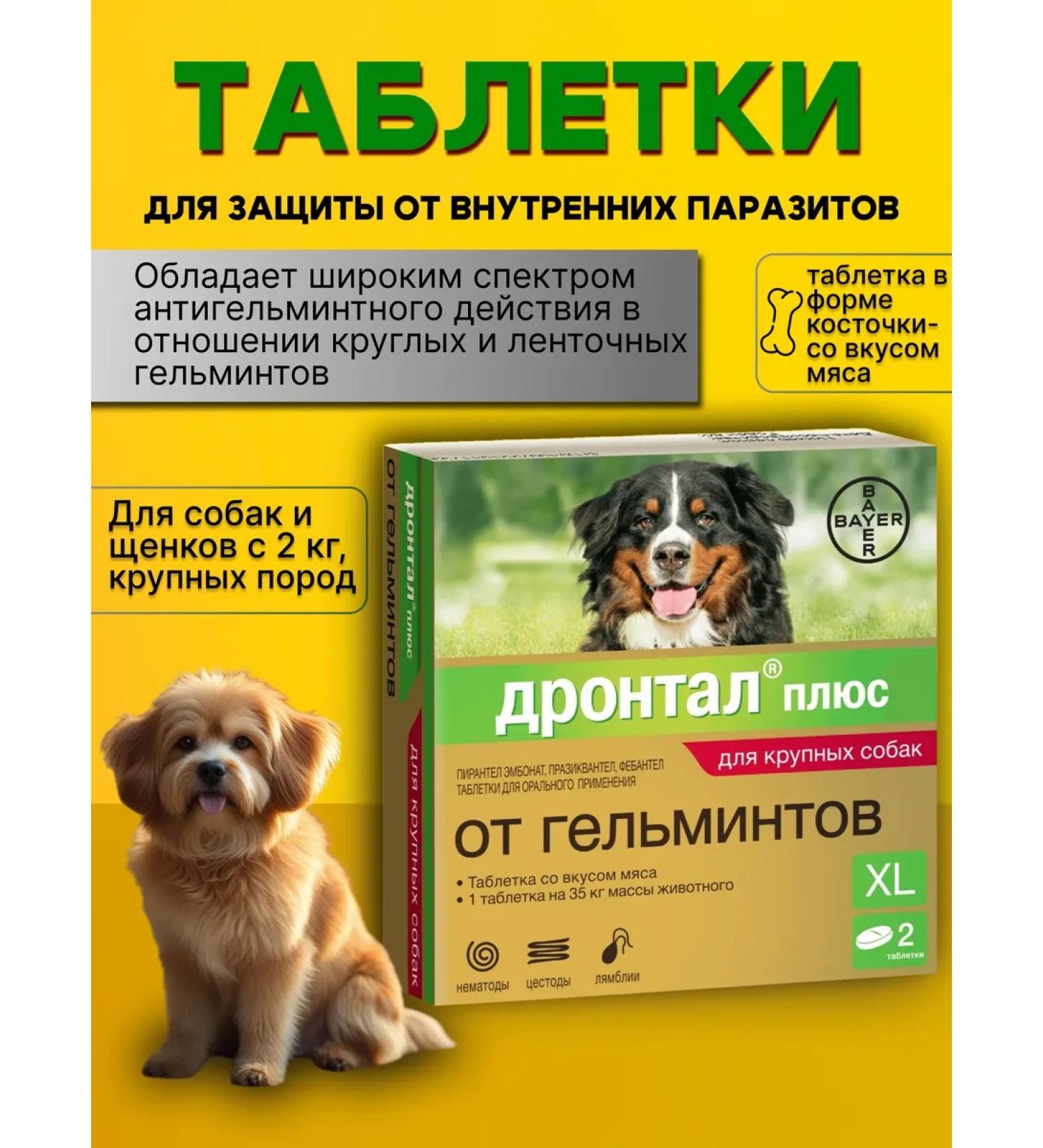 Elanco Workers from worms for large dogs Drontal