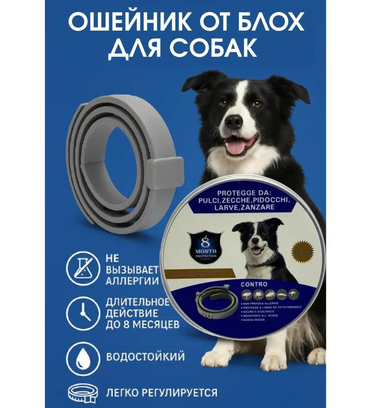CO&LIN Blockel collar for dogs - Buy Online on GoSupps.com