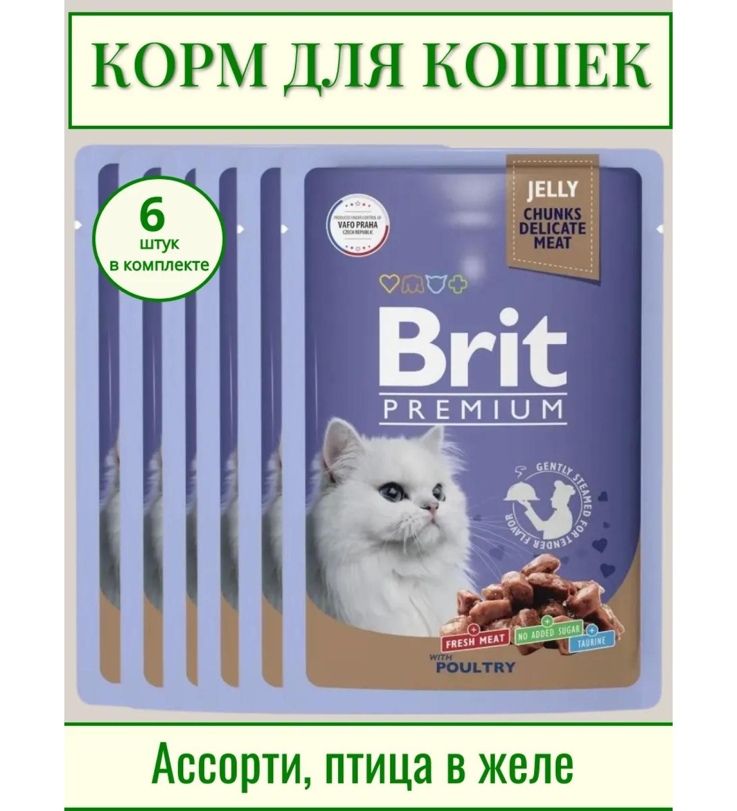 BRIT PREMIUM Cat food assorted poultry in jelly 6 pcs x 85 g - Buy Online on GoSupps.com