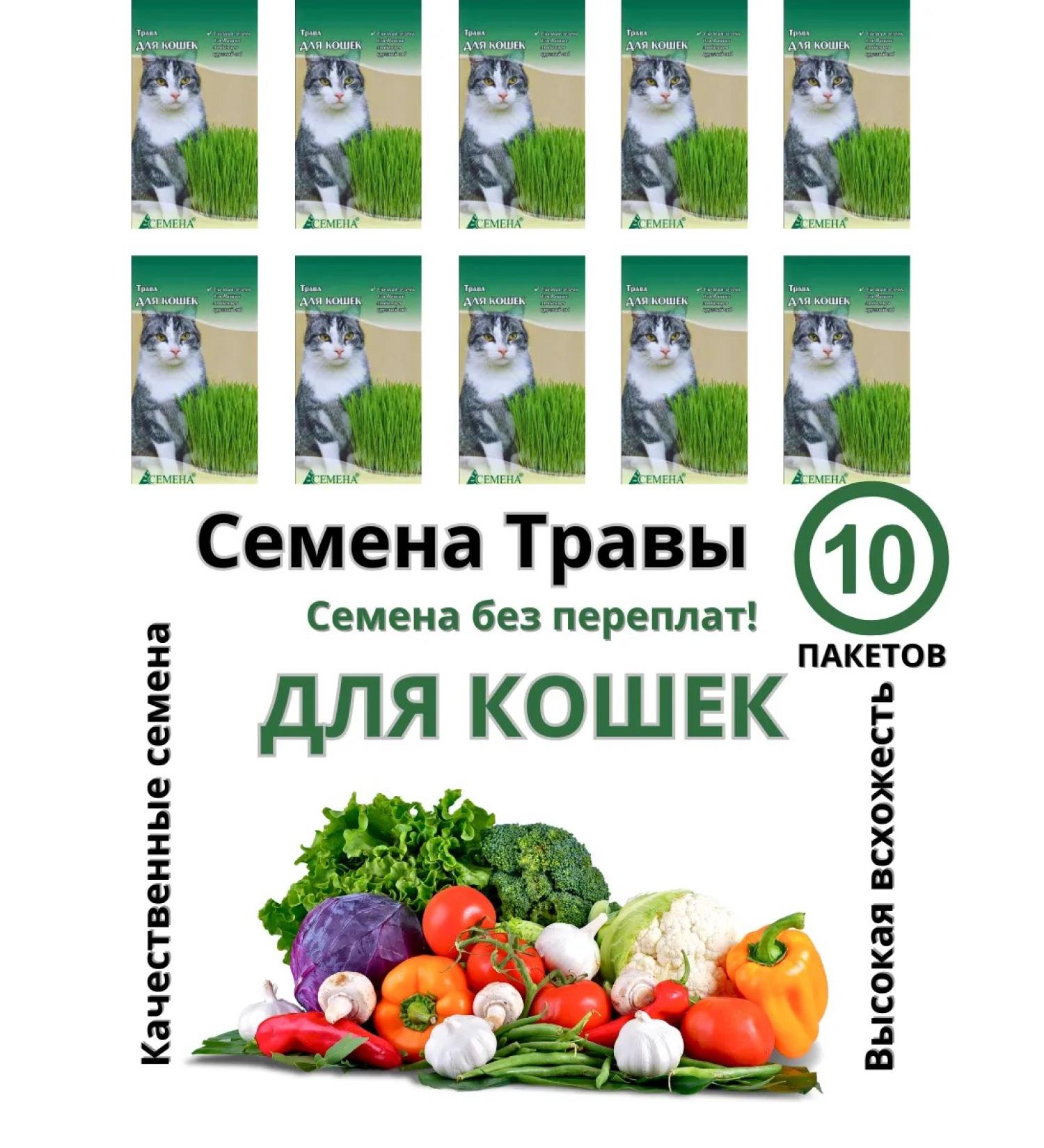 Seeds for Siberia Seeds for cats - Buy Online on GoSupps.com