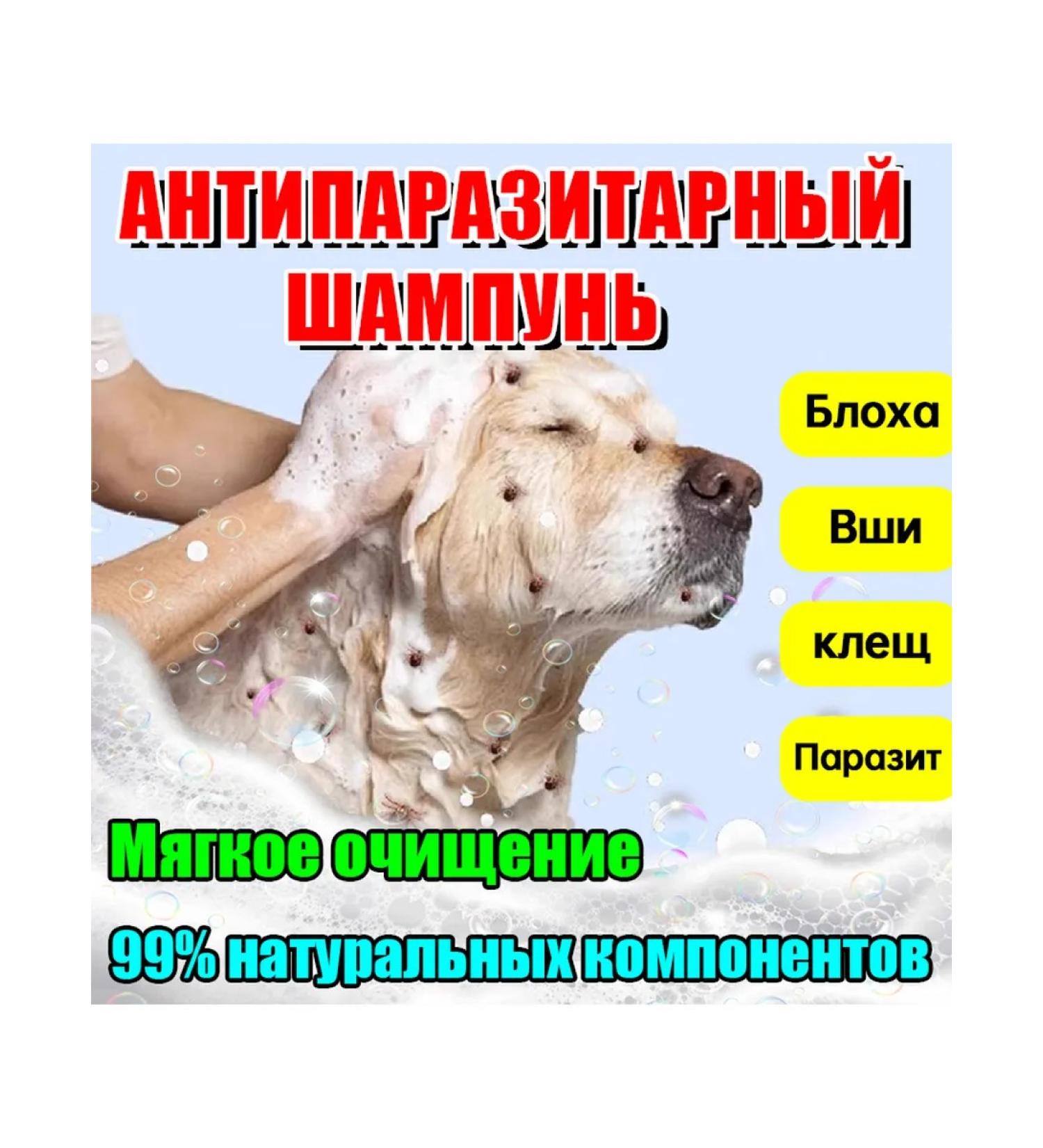 Kitty and puppy shampoo hypoallergenic from fleas - Buy Online on GoSupps.com