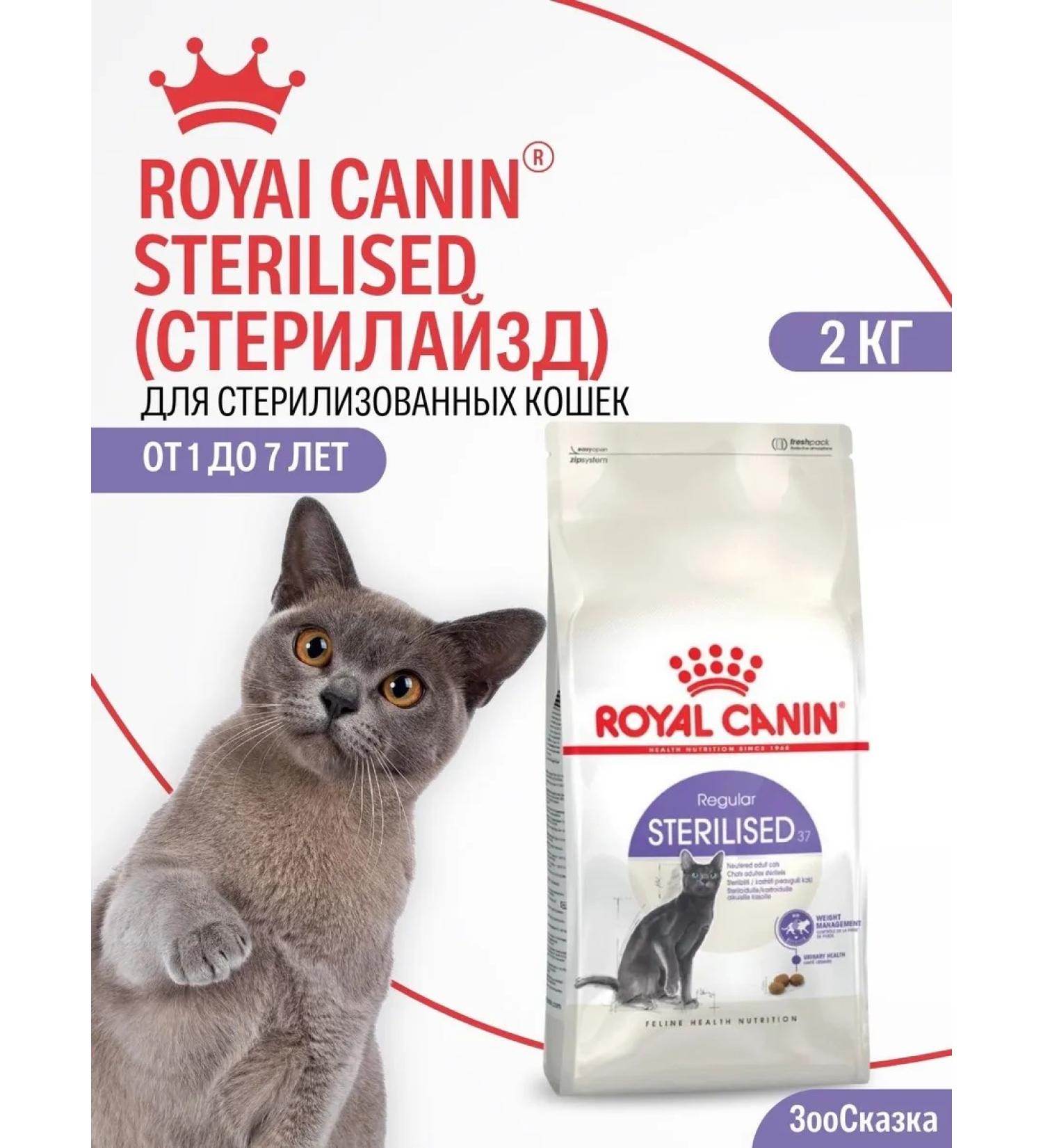 ROYAL CANIN Dry food for sterilized cats Sterilized 37 2kg - Buy Online on GoSupps.com