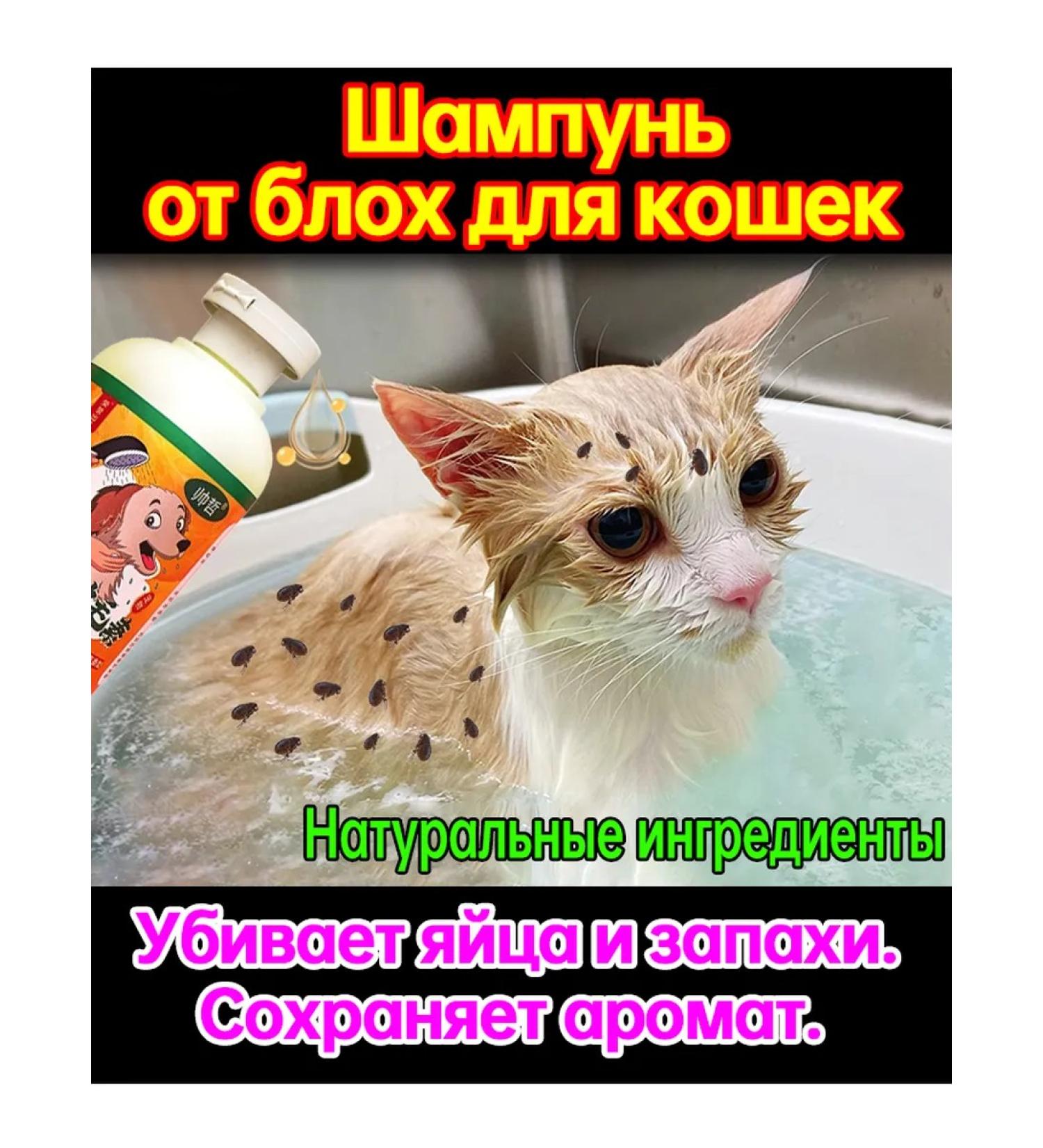 Hypoallergenic shampoo from fleas for cats and dogs - Buy Online on GoSupps.com