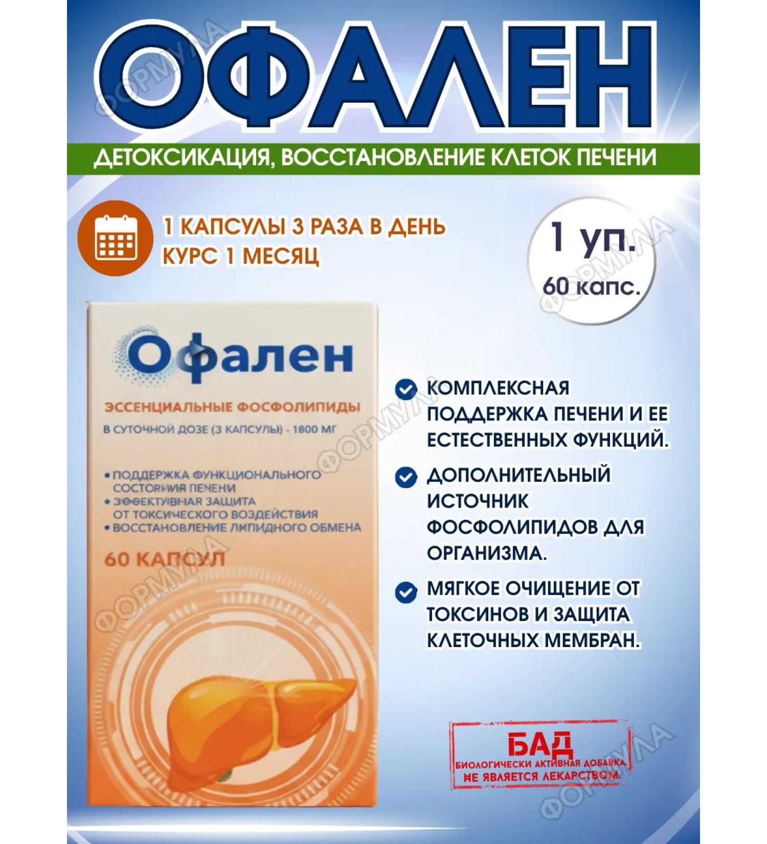 Ofalen Essential phospholipids a complex for the liver 60 kap.*1UP - Buy Online on GoSupps.com