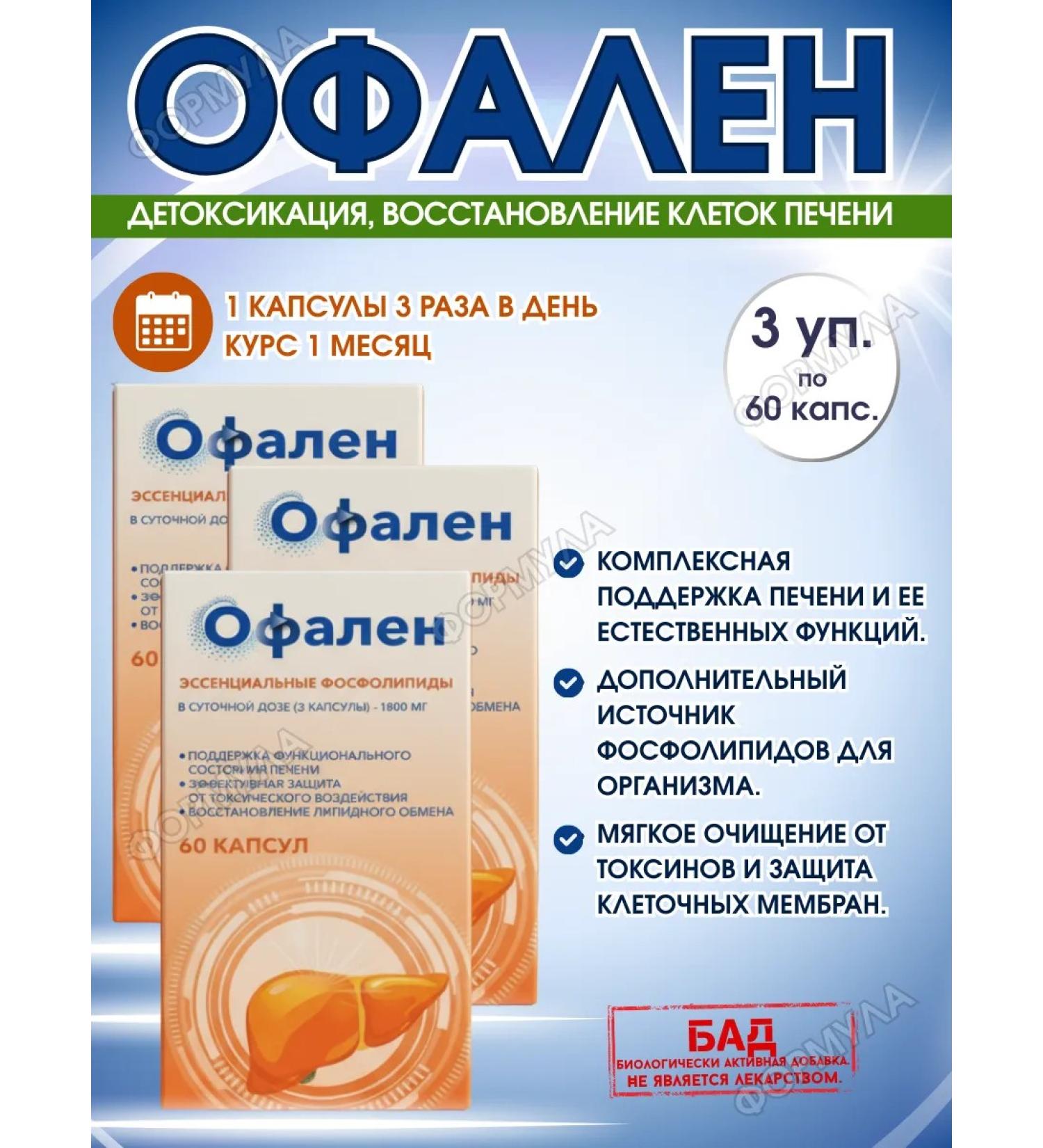 Ofalen Essential phospholipids a complex for the liver 60 kap.*3UP - Buy Online on GoSupps.com