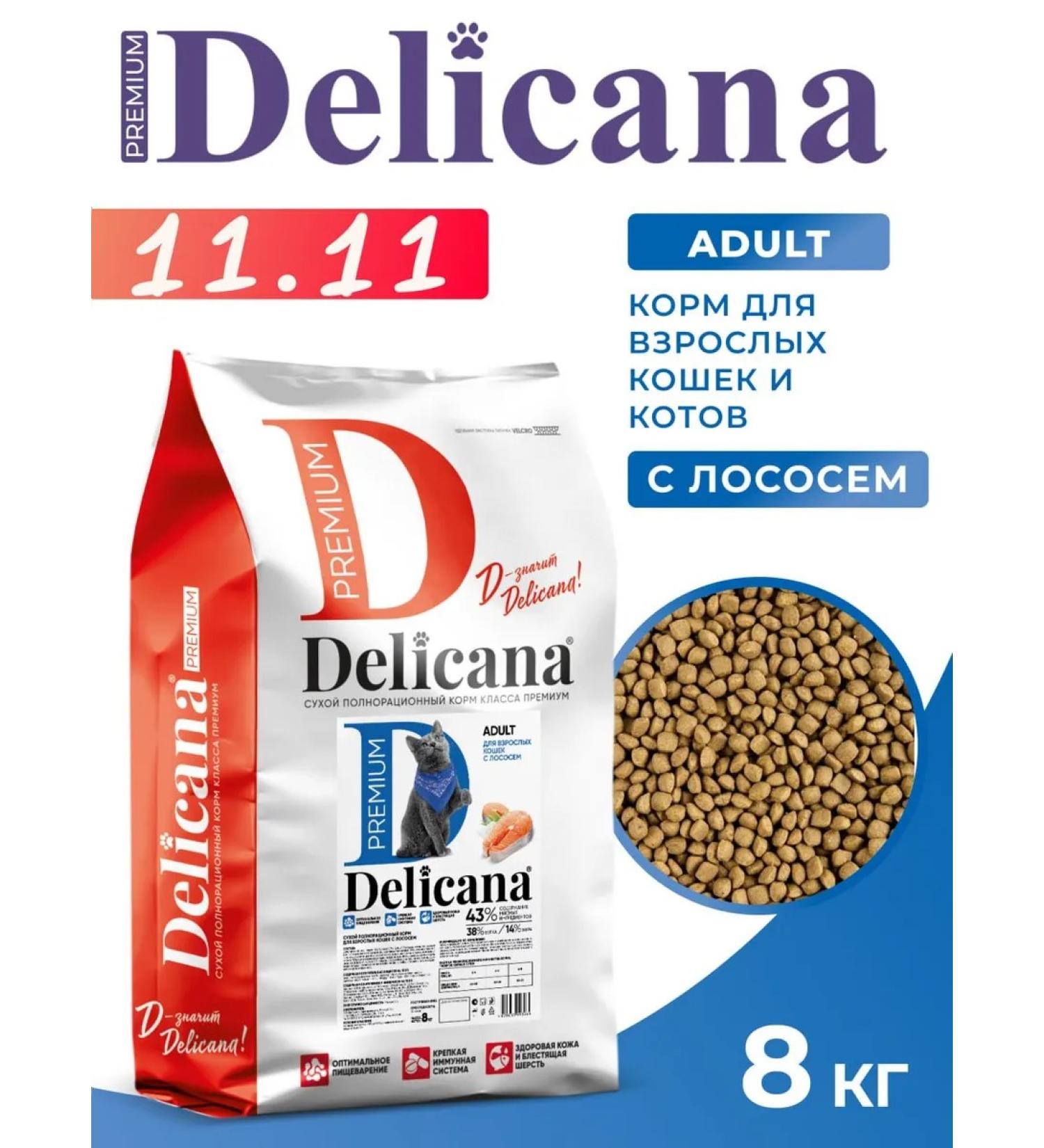 Delicana Dry food for cats with salmon 8 kg - Buy Online on GoSupps.com