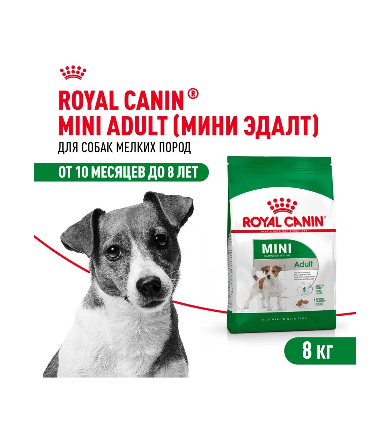 ROYAL CANIN Dry food for dogs of small breeds Mini Adult (Mini Edalt) 8kg - Buy Online on GoSupps.com