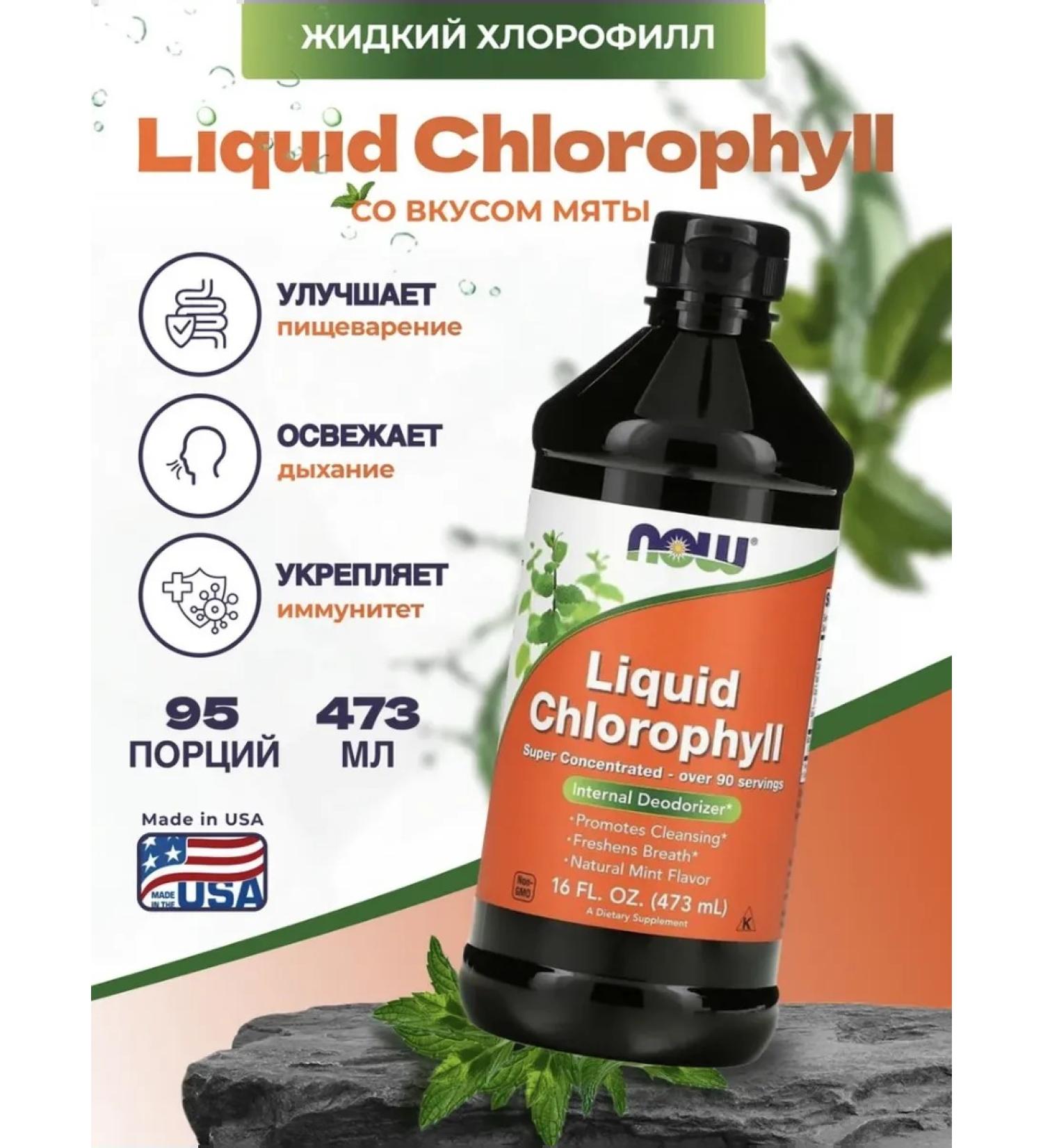 NOWNOW Chlorophyll Liquid Liquid Chlorophyll 473 ml - Buy Online on GoSupps.com
