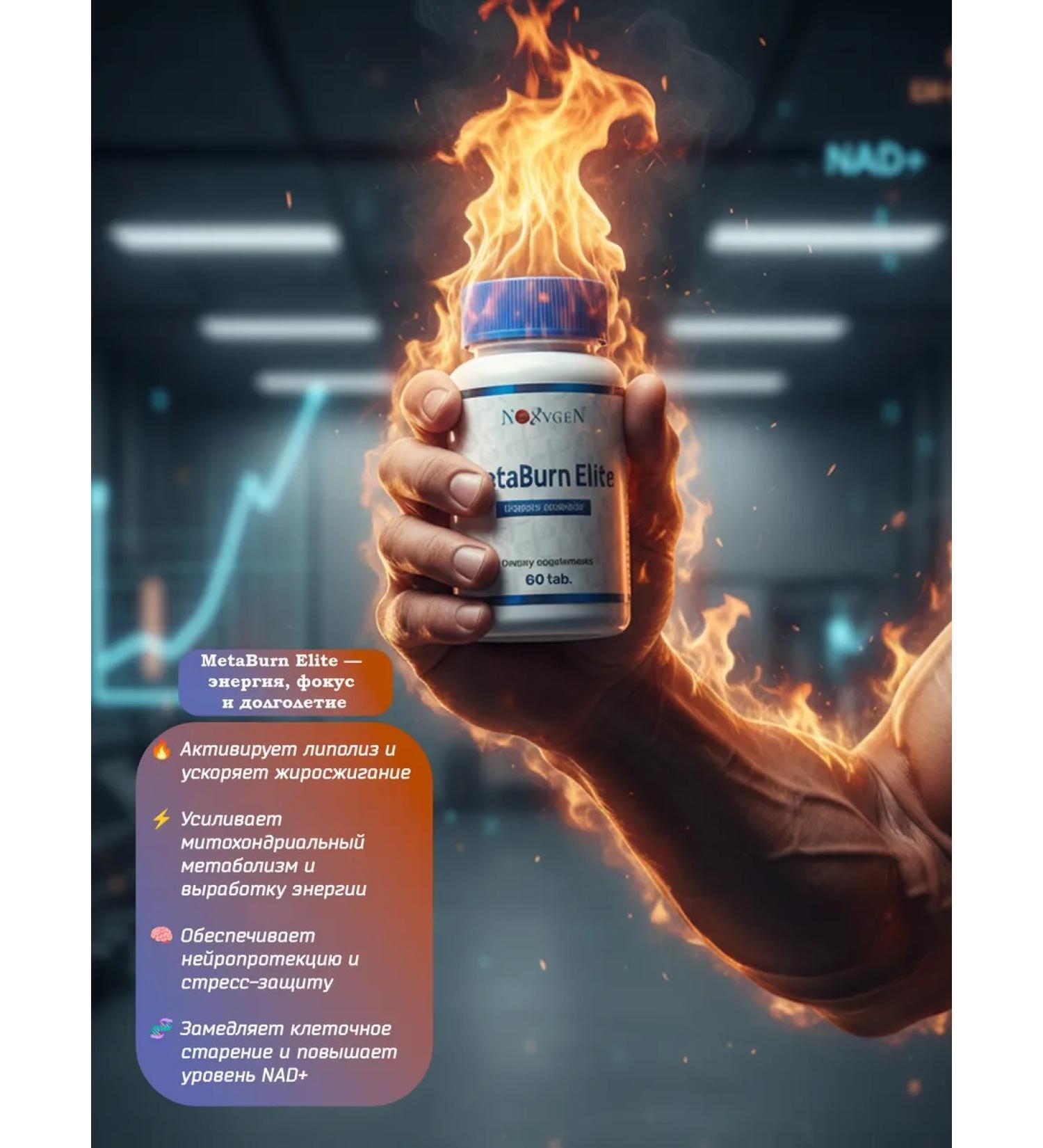 Noxygen Metaburn Elite 60 tablets acceleration of metabolism