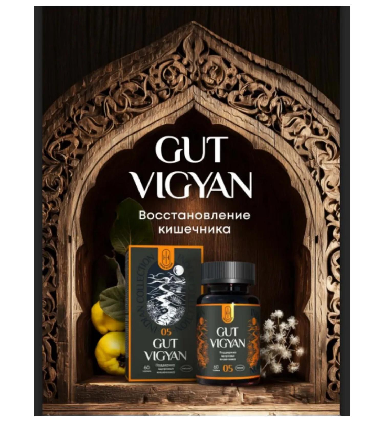 "GAT VIGYAN Restoration of the intestine" - Buy Online on GoSupps.com