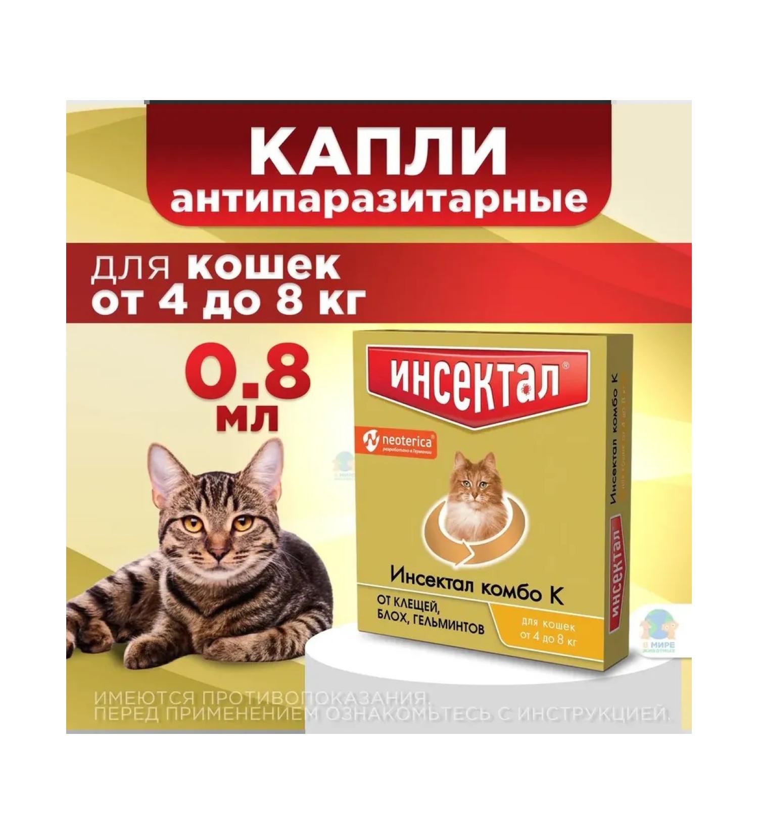 Neoterica Insectal Combo K from ticks fleas cat Helmits 4-8 kg - Buy Online on GoSupps.com