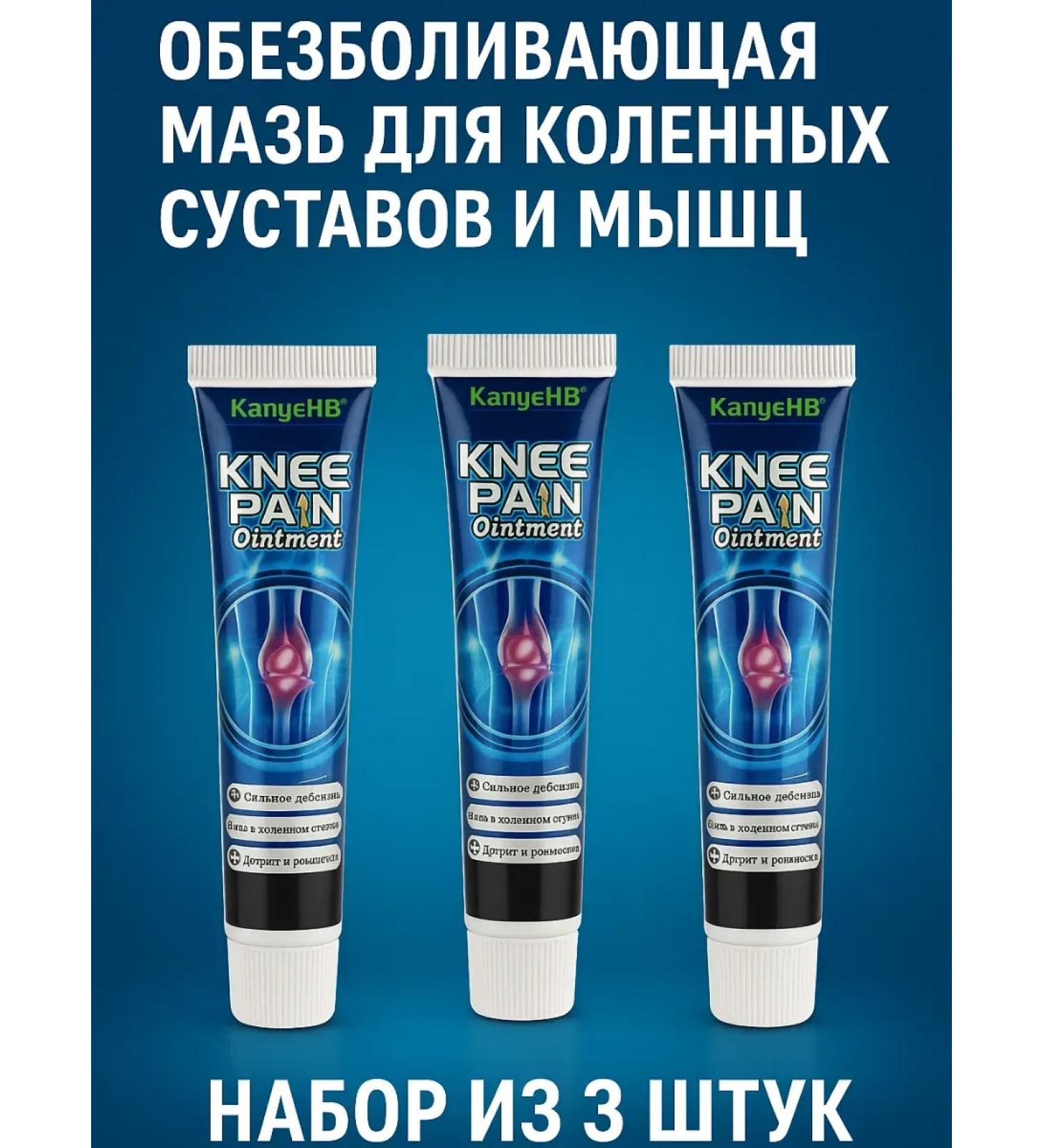 ANEL1 Anesthetic ointment for knee joints and muscles - Buy Online on GoSupps.com