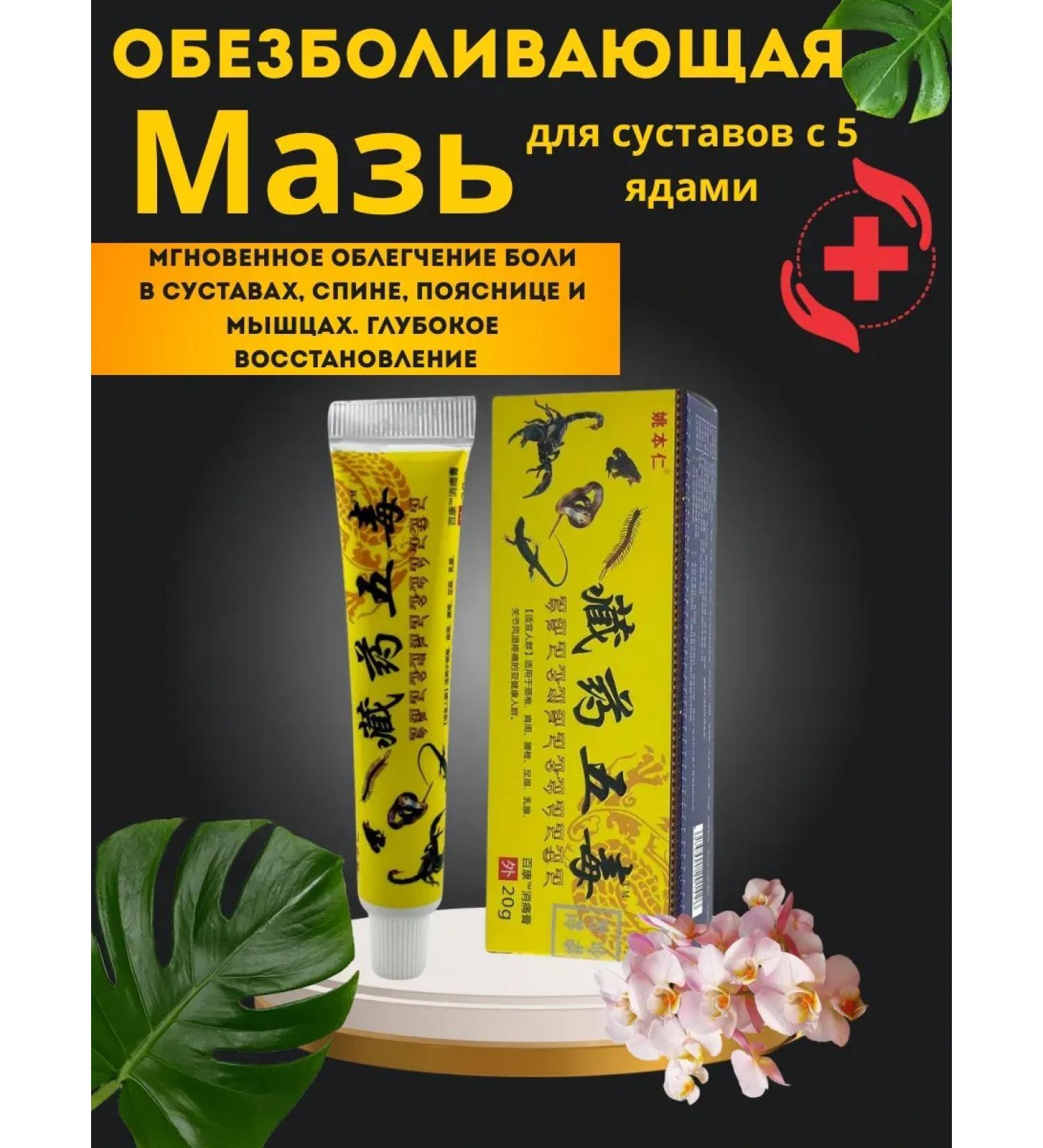 Canida Chinese miracle ointment from pain in the joints of hernias spine - Buy Online on GoSupps.com
