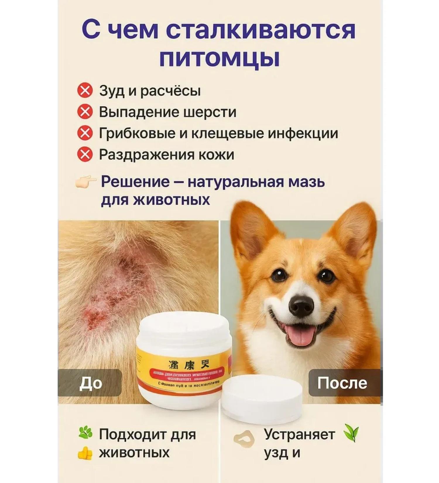 MSK92 Ointment for domestic animals from fungus and ticks 30 g - Buy Online on GoSupps.com
