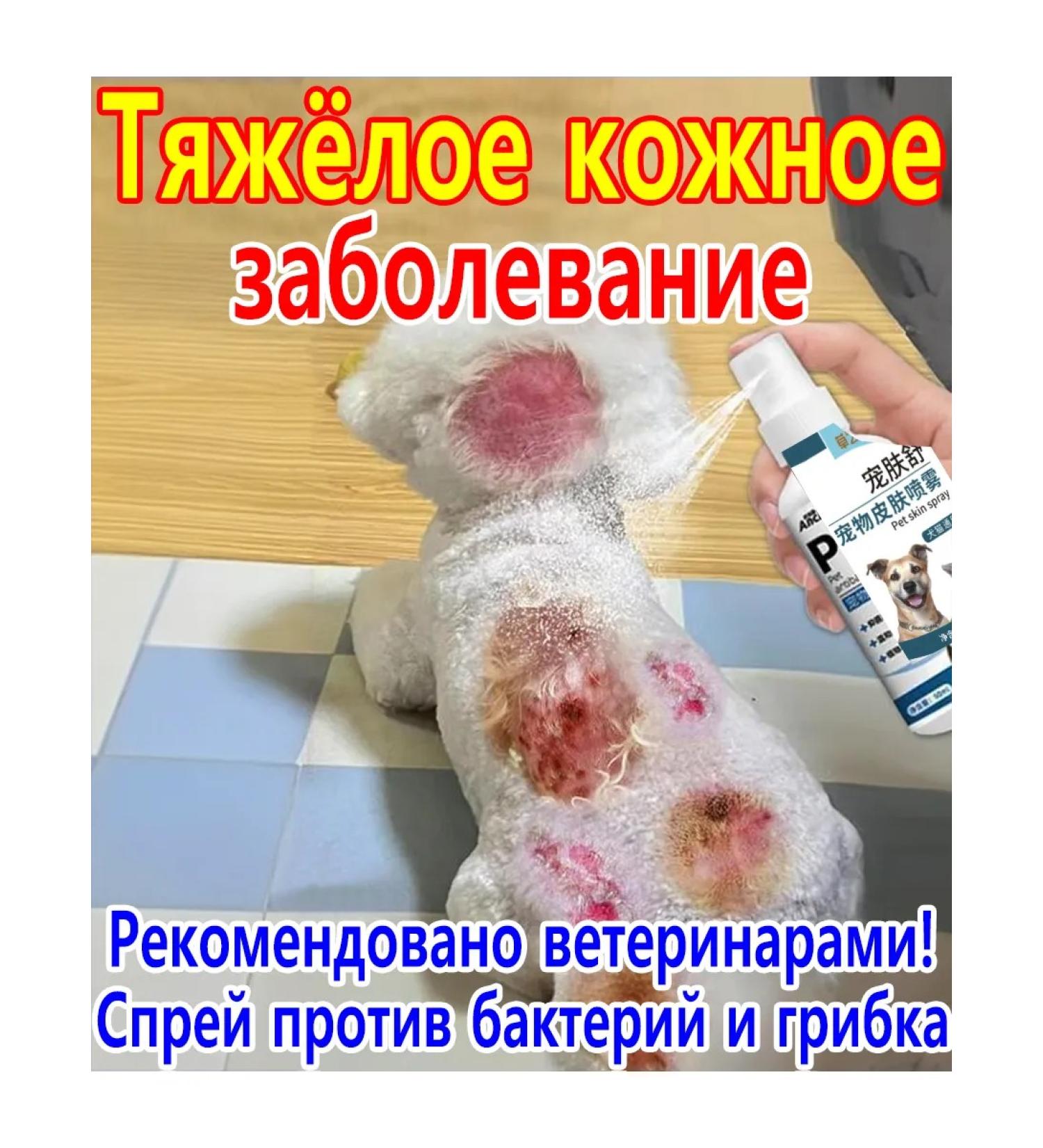 Spray for the treatment of skin diseases in dogs - Buy Online on GoSupps.com