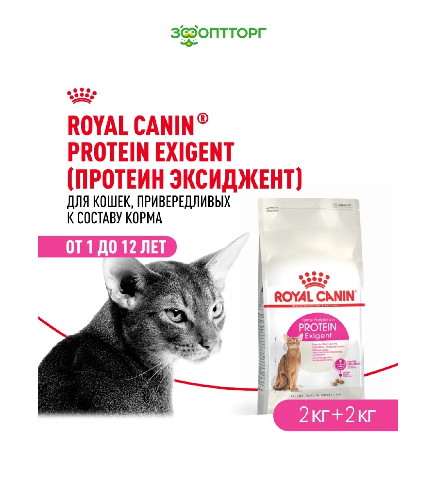ROYAL CANIN Dry food for fastidious cats bird 2 kg. x 2 pcs - Buy Online on GoSupps.com