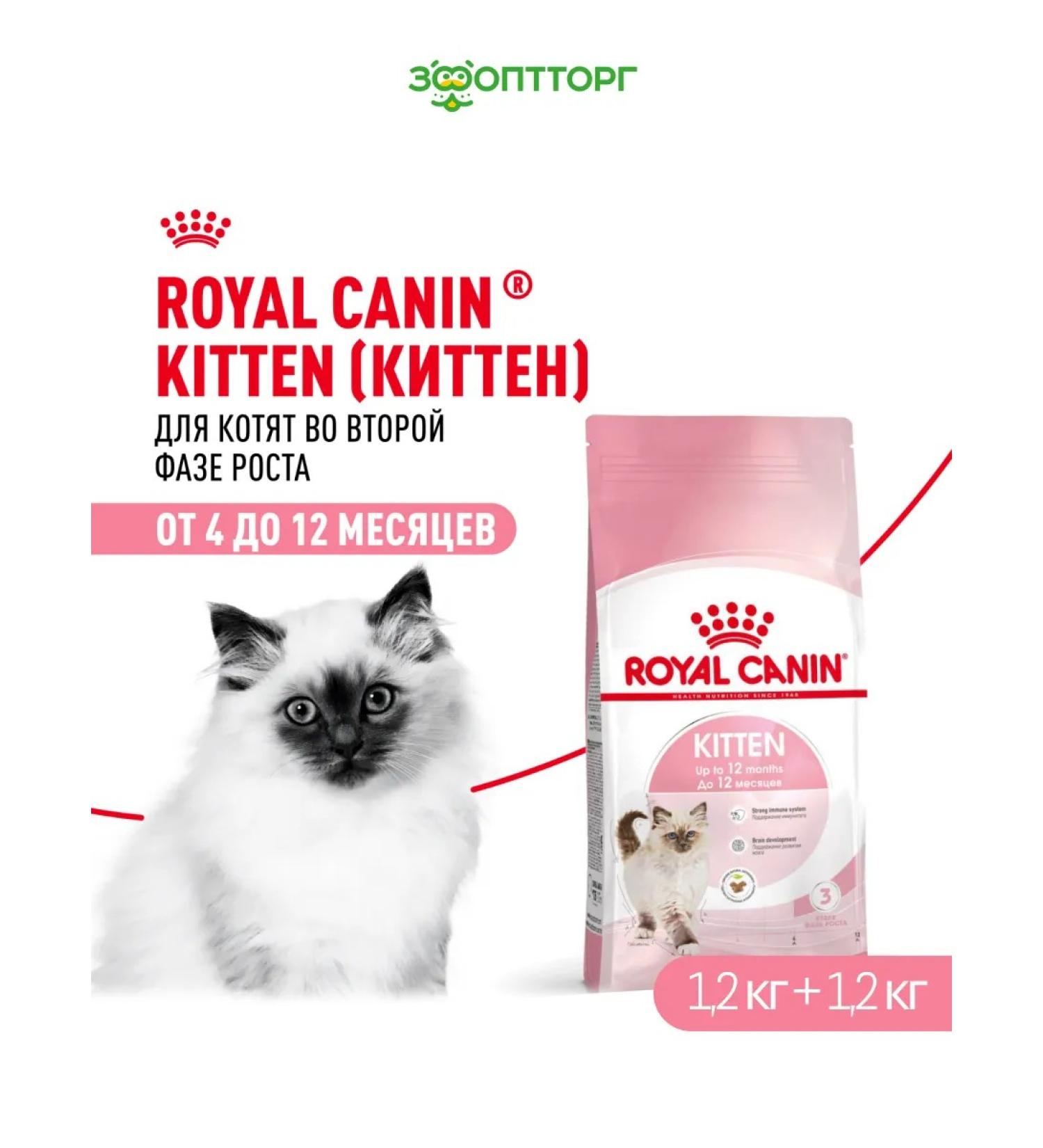 ROYAL CANIN Dry food for kittens from 4 months bird 1.2 kg. x 2 pcs - Buy Online on GoSupps.com