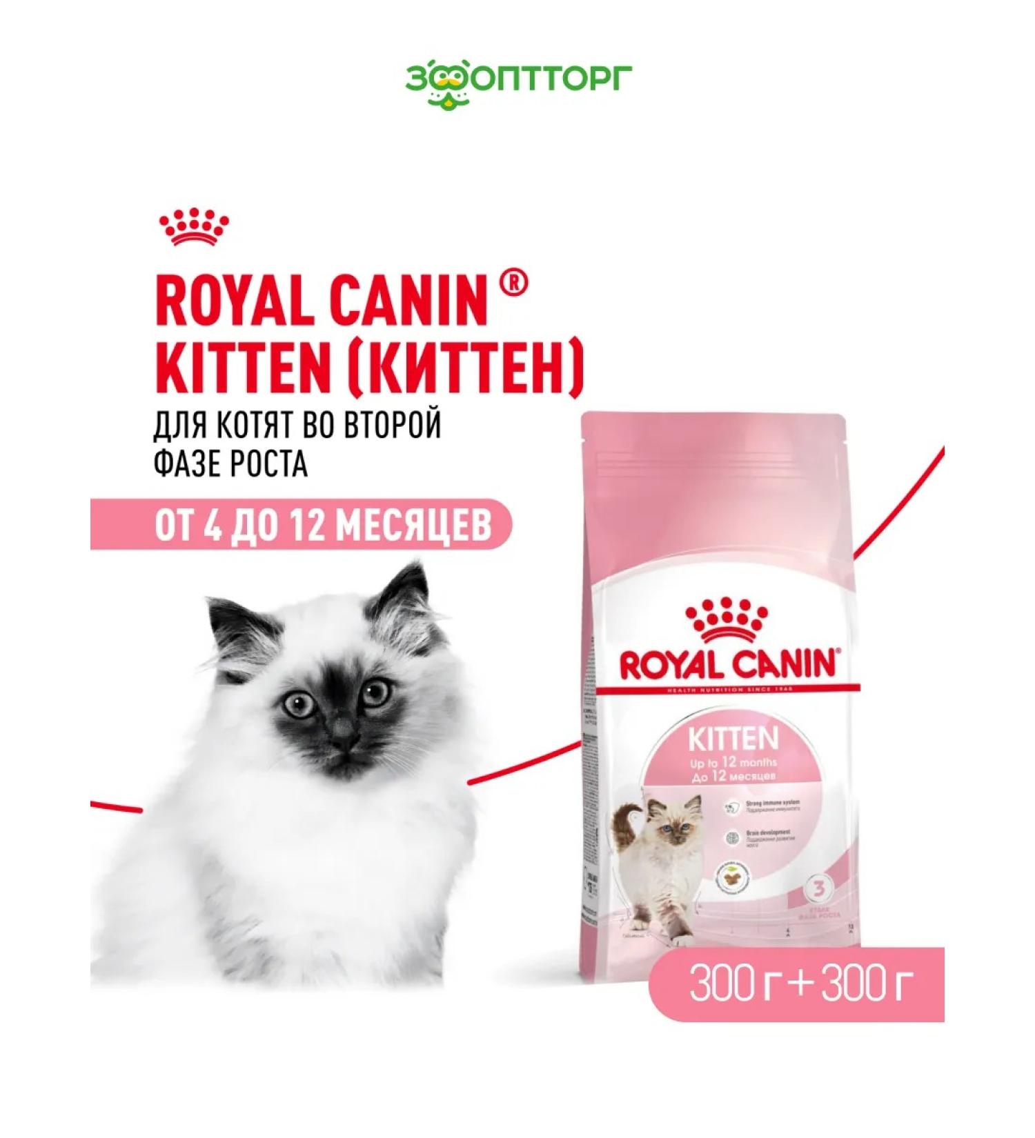 ROYAL CANIN Dry food for kittens from 4 months bird 300 g 2 pcs - Buy Online on GoSupps.com