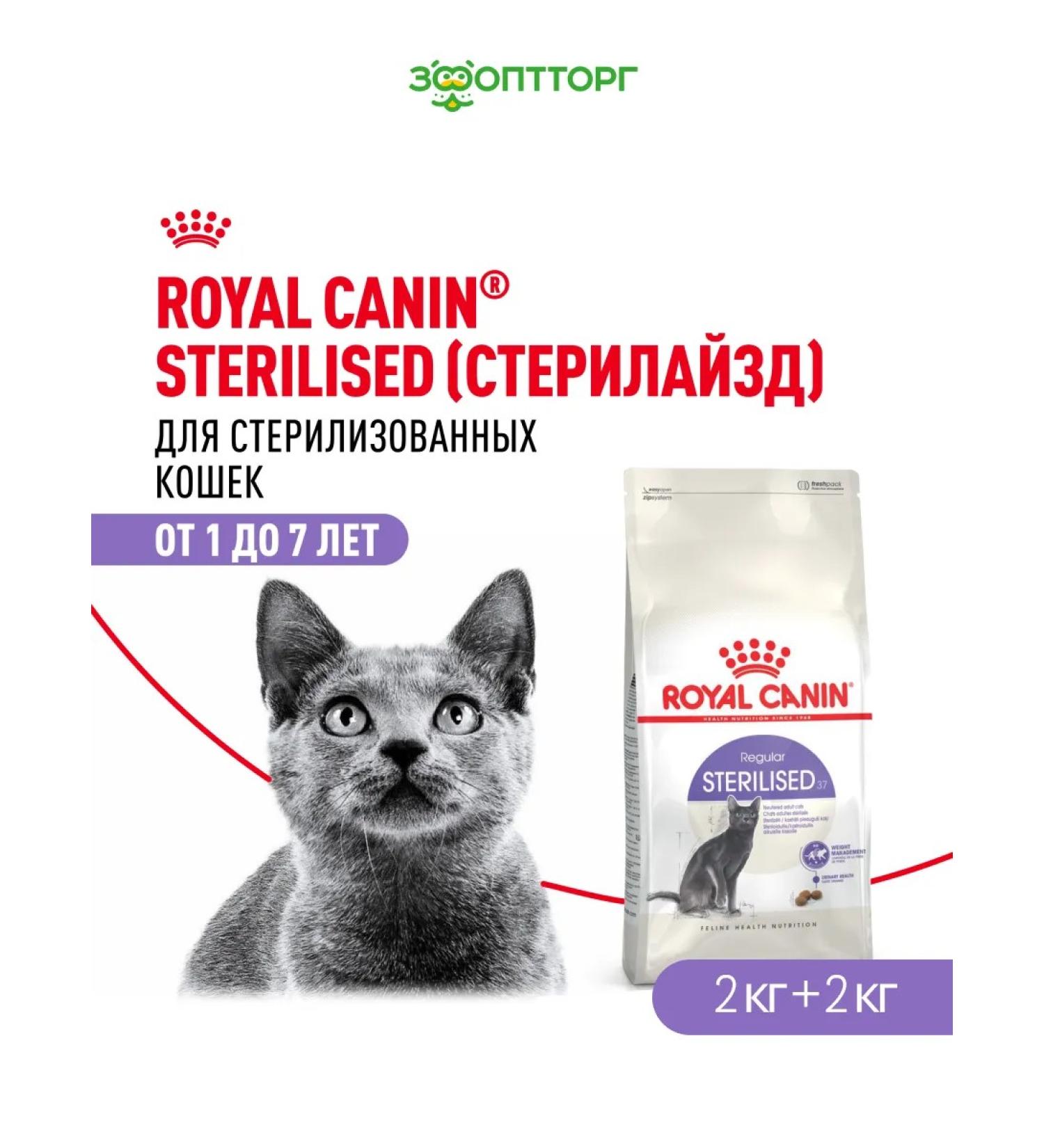 ROYAL CANIN Dry food for sterilized cats bird 2 kg. x 2 pcs - Buy Online on GoSupps.com