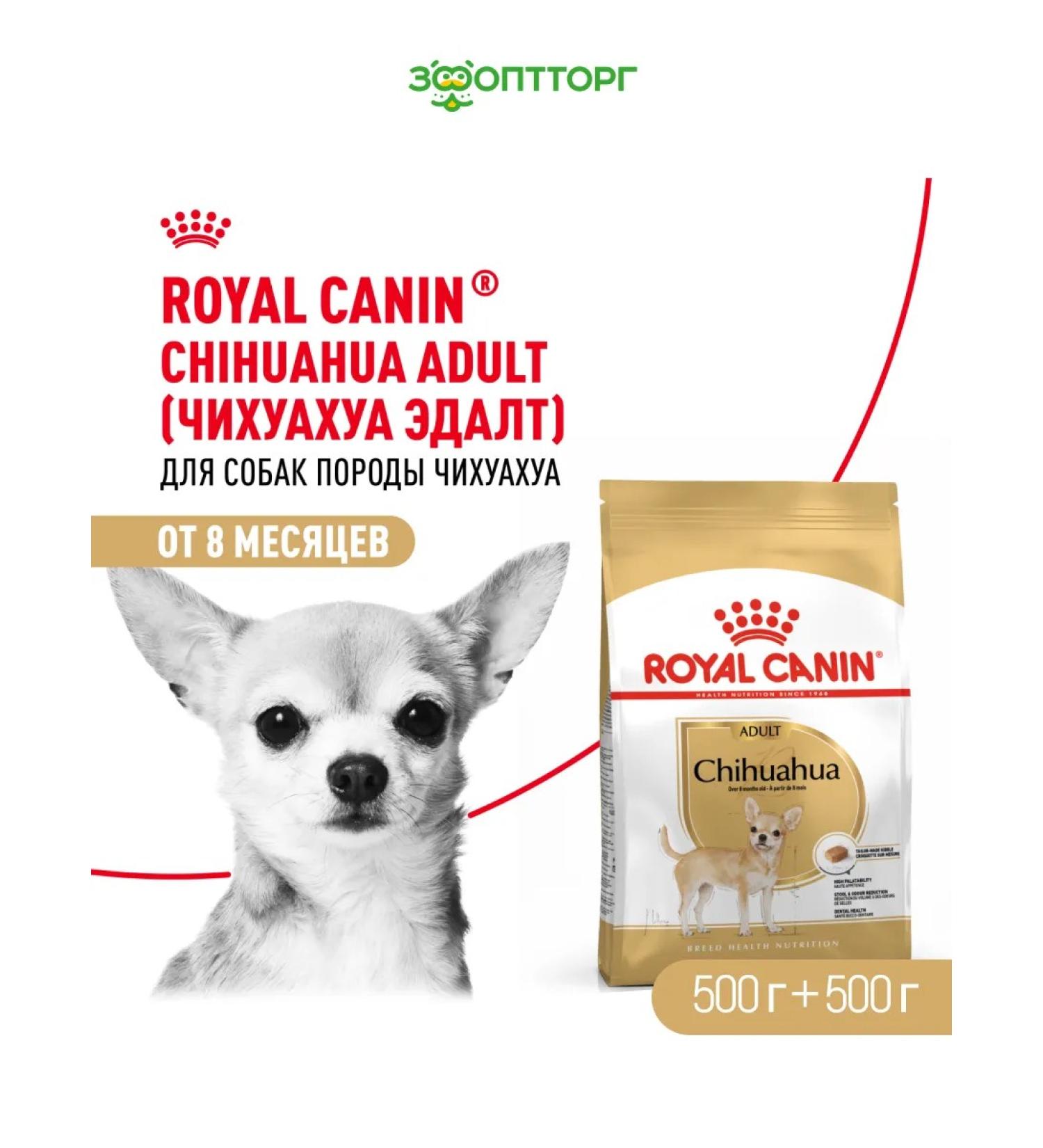 ROYAL CANIN Dry food for dogs of the chihuahua bird 500 g 2 pcs - Buy Online on GoSupps.com