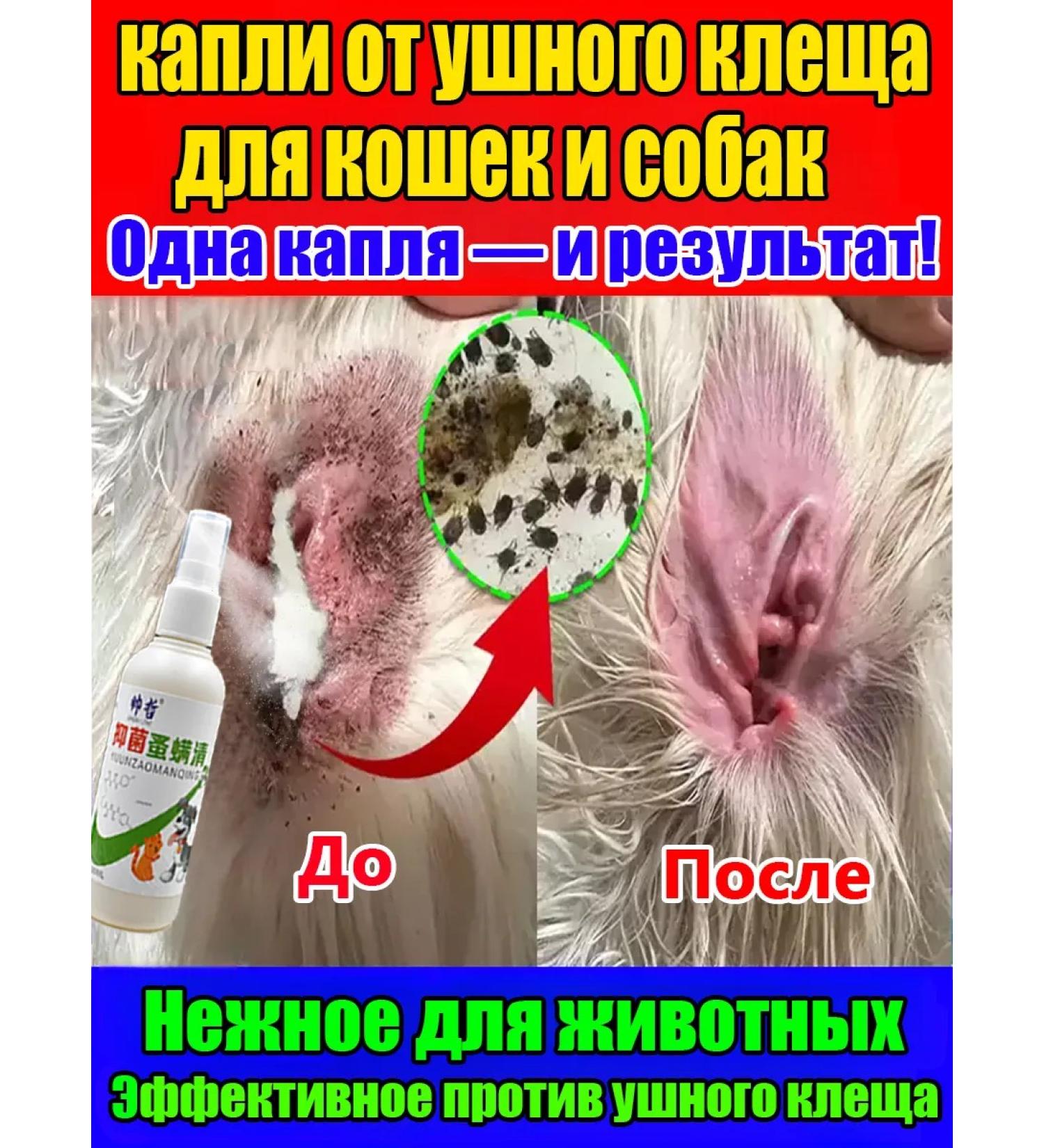 Drops from the ear tick for cats and dogs 100ml - Buy Online on GoSupps.com