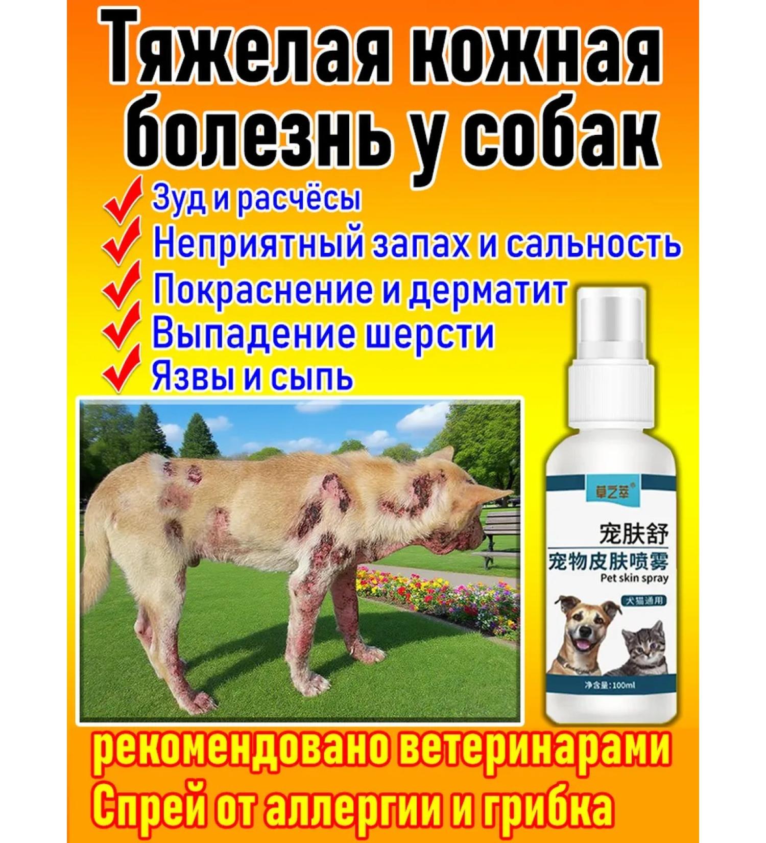 Spray from itching for dogs and cats 100 ml - Buy Online on GoSupps.com