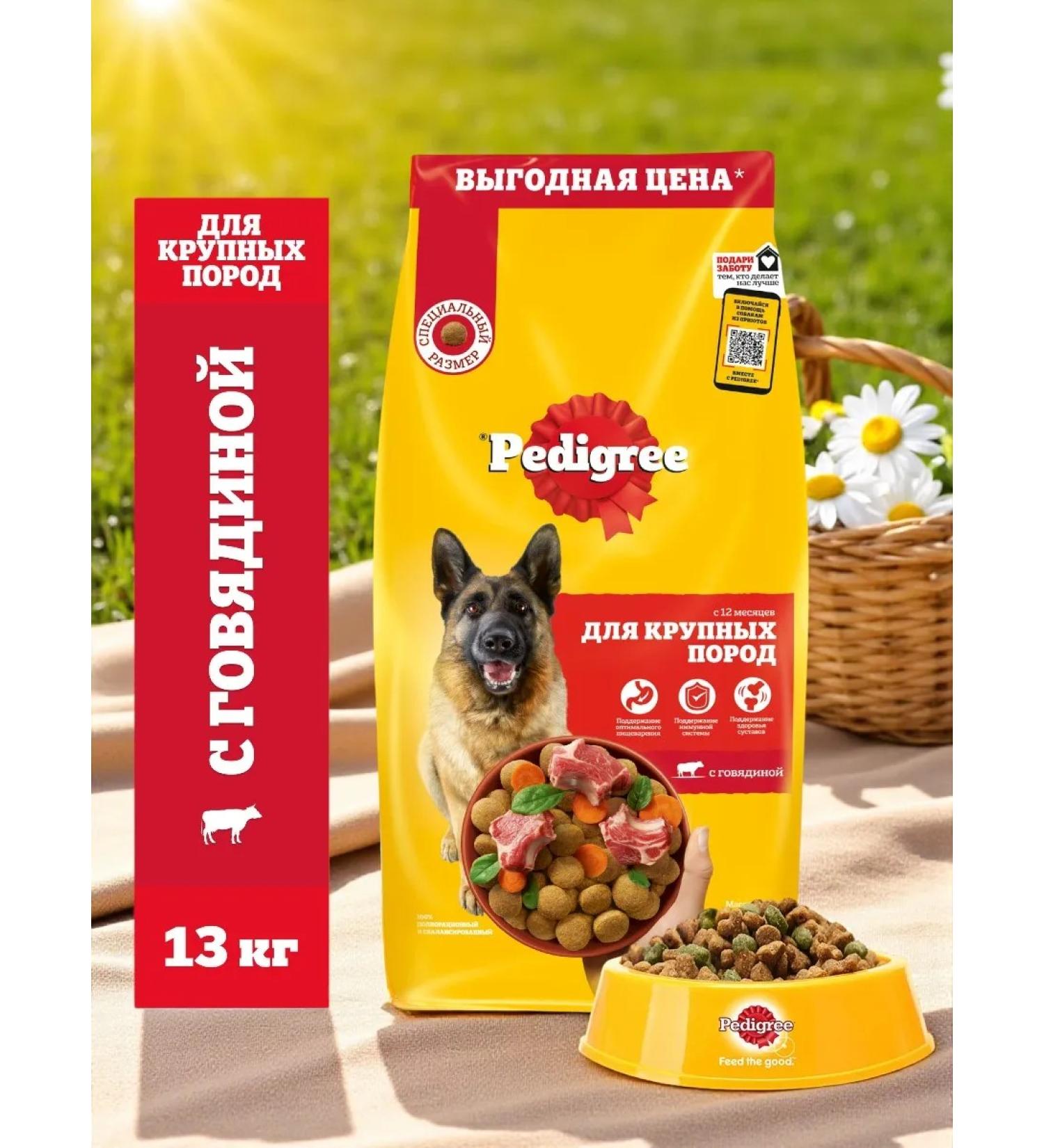 PEDIGREE Feed for adult dogs of large breeds beef 13kg