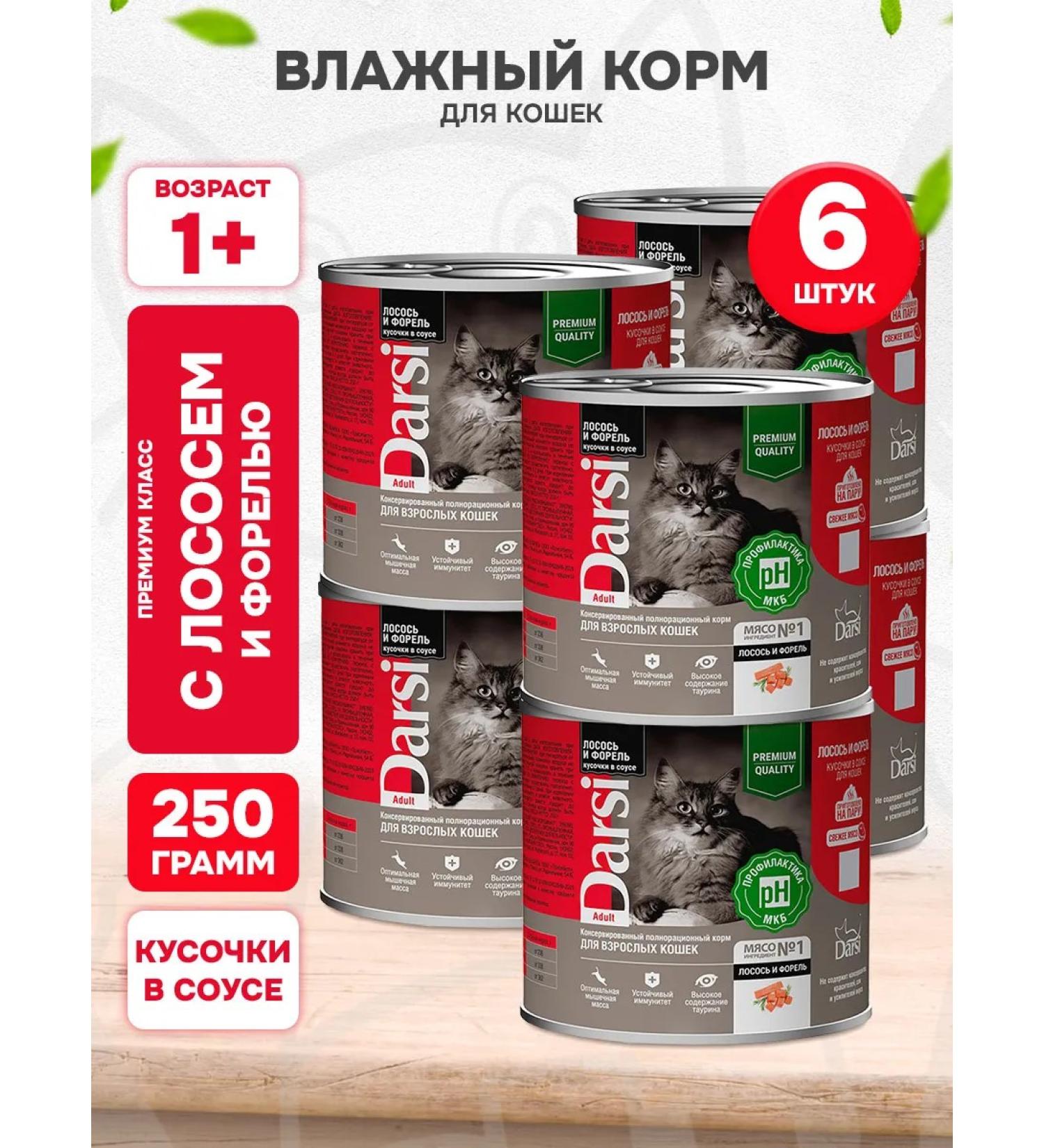 Darsi Wet feed for cats Sharping trout in sauce 250 g 6 pcs - Buy Online on GoSupps.com