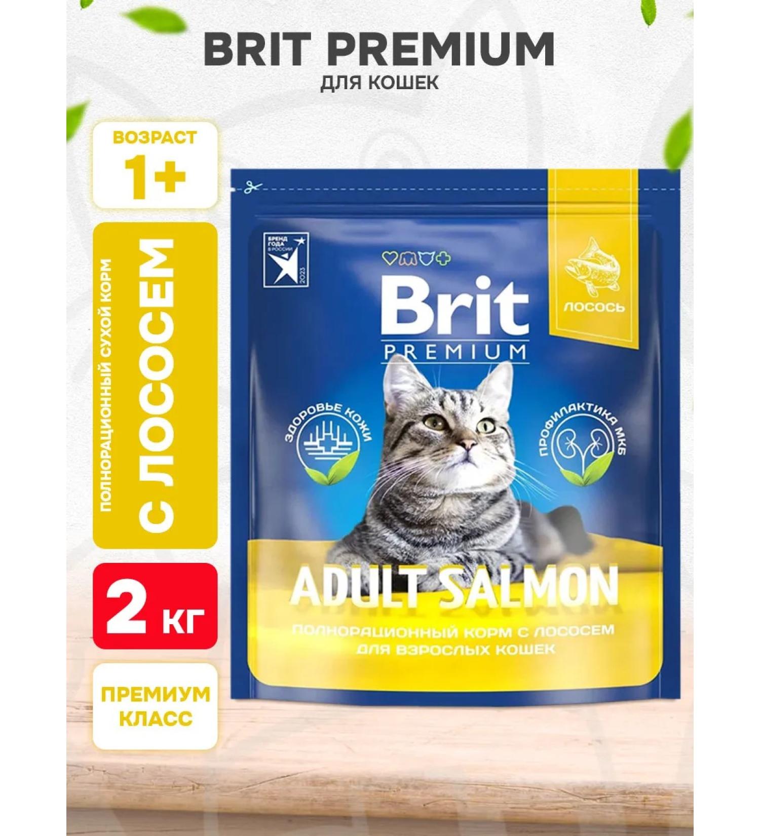 Brit Dry feed Premium for cats salmon 2 kg - Buy Online on GoSupps.com