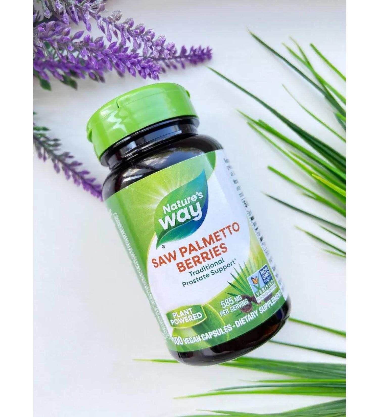 Nature's Way With palmetto Saw Palmetto Berries 100 capsules - Buy Online on GoSupps.com