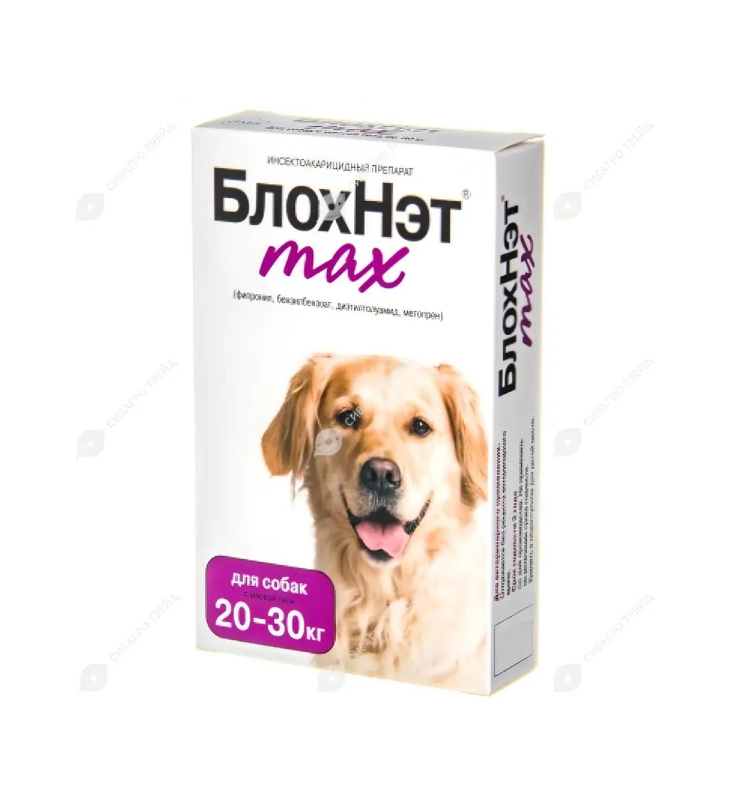 Astrapharm Blochnet Max Drops for dogs 20 - 30 kg 3 ml