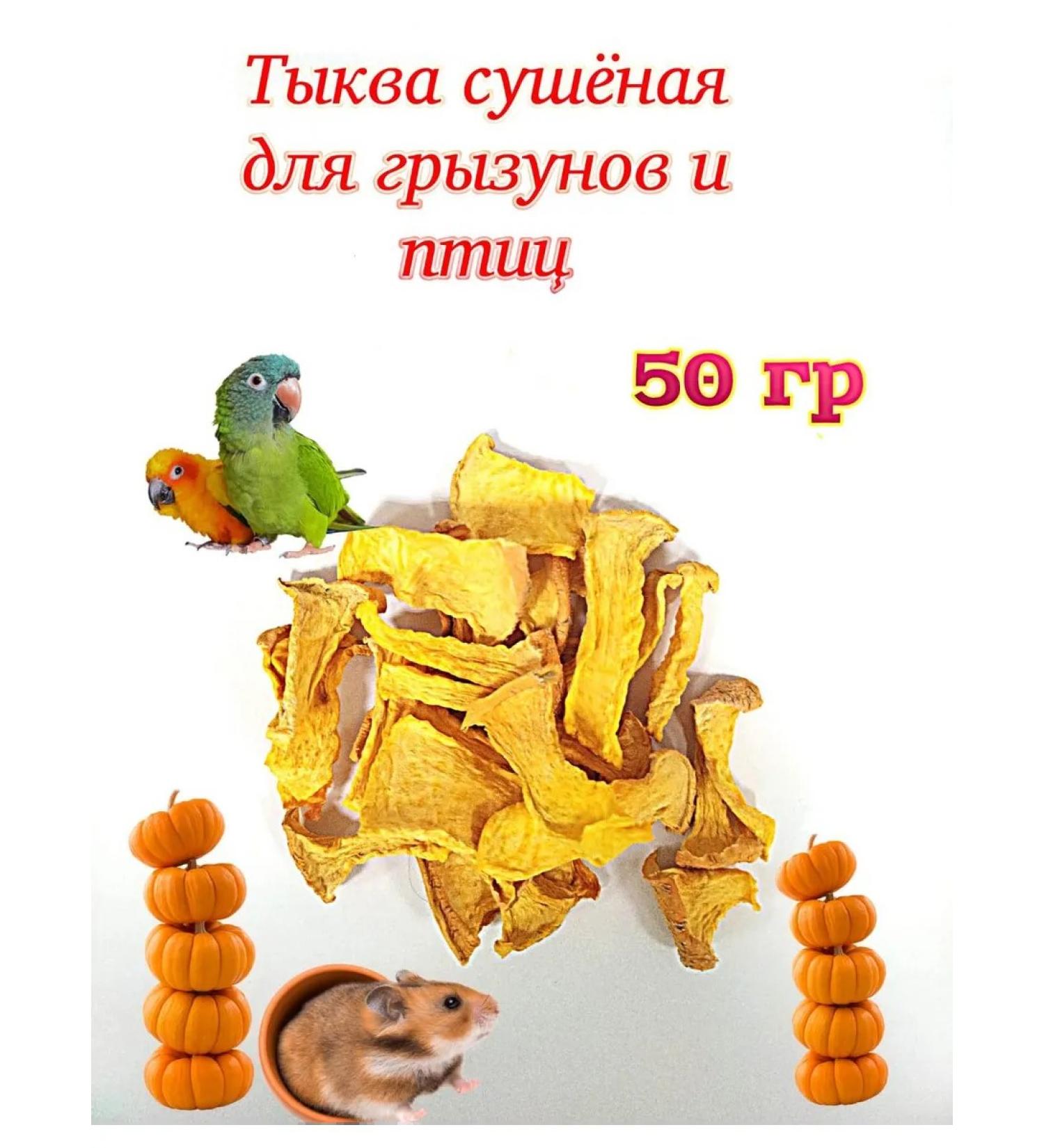 Dry pumpkin for rodents and birds 50 grams