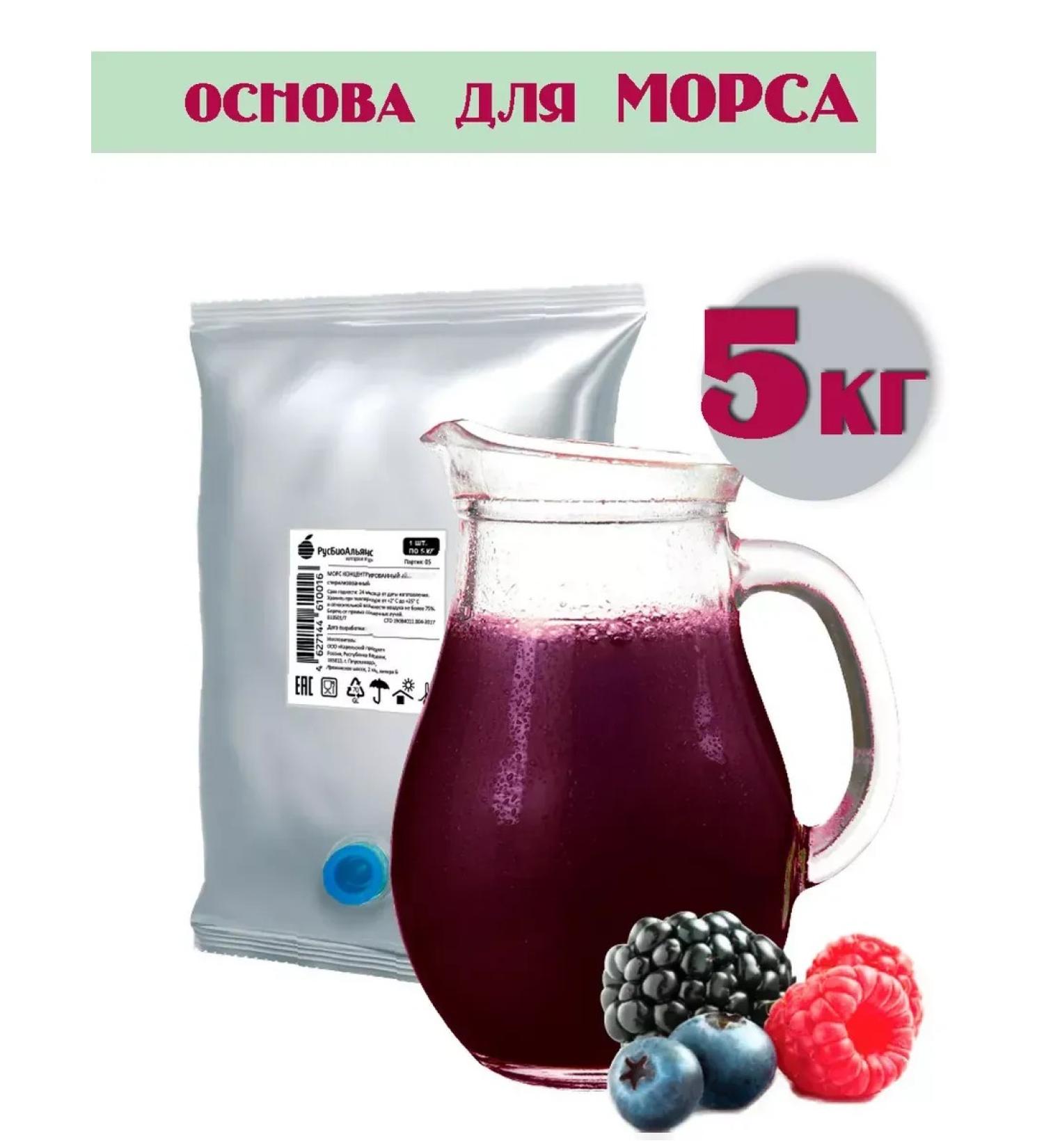 RUSBIOALLIANCE Fruit drinks Forest Berries 5kg